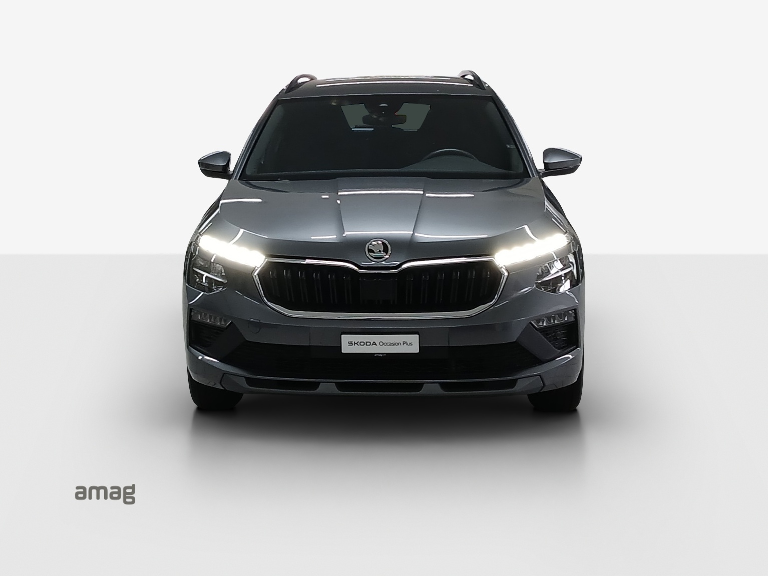 SKODA Kamiq 1.0 TSI Selection DSG-image-6
