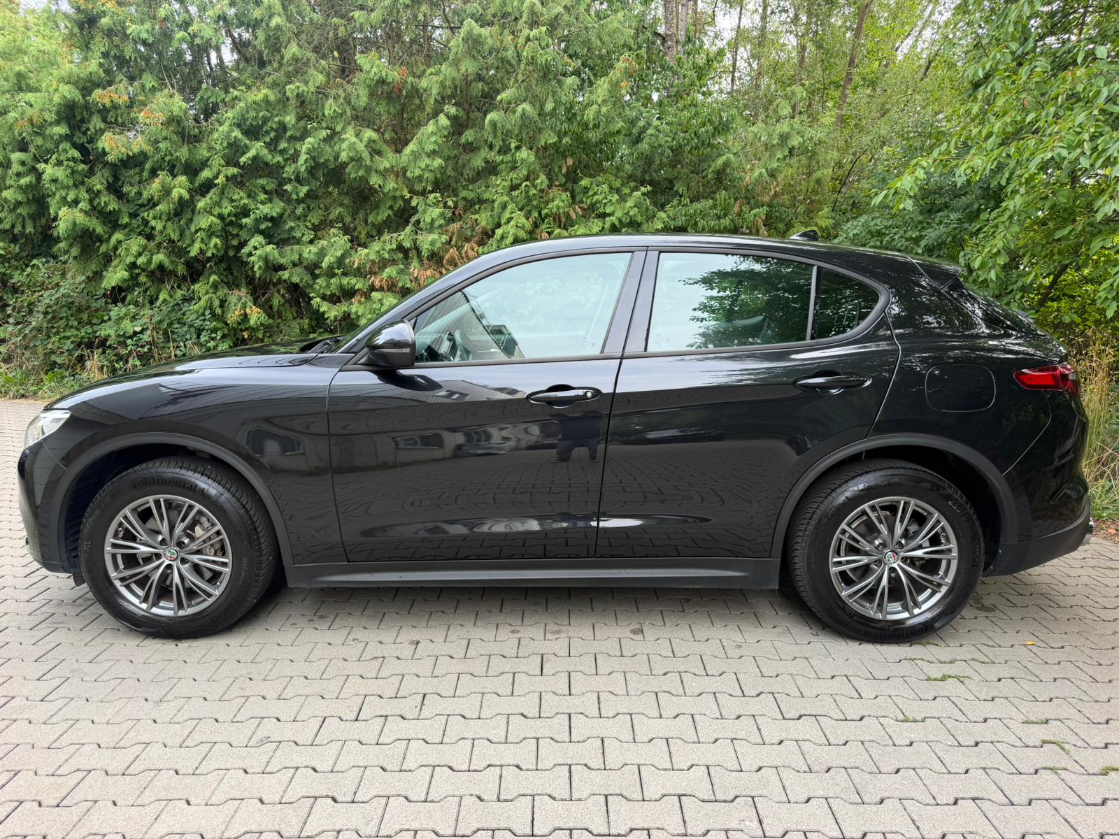 ALFA ROMEO Stelvio 2.2 JTDM Automatic Q4-showroom-element-1