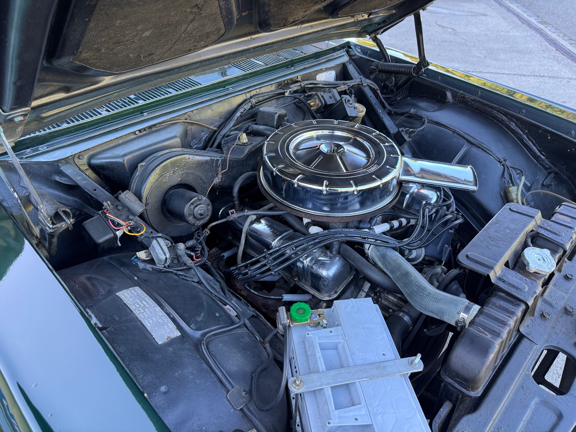 BUICK Cabrio 4100 Special-image-10