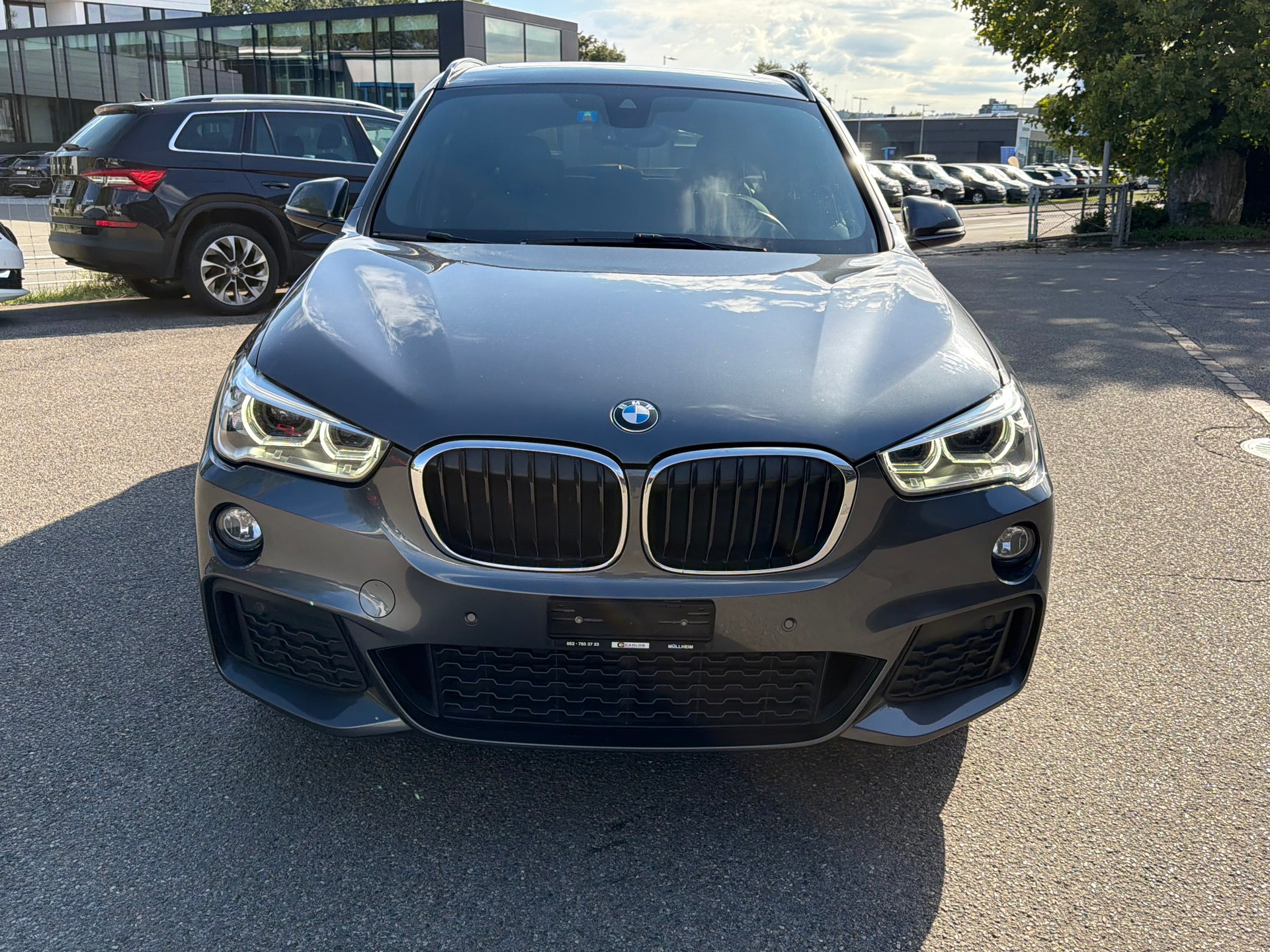 BMW X1 xDrive 25d M Sport Steptronic-image-2