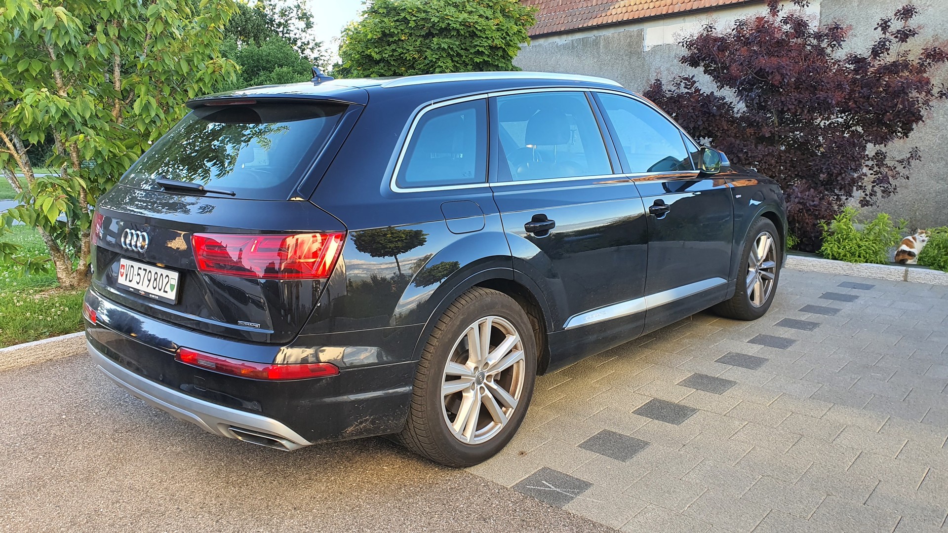 AUDI 3.0 50 TDI quattro T-Tronic-image-3