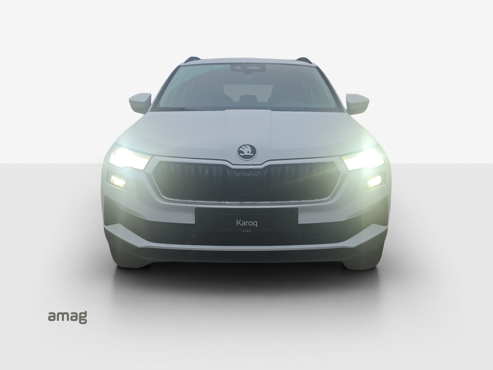 SKODA Karoq 2.0 TDI CR Dynamic 4x4 DSG-image-6