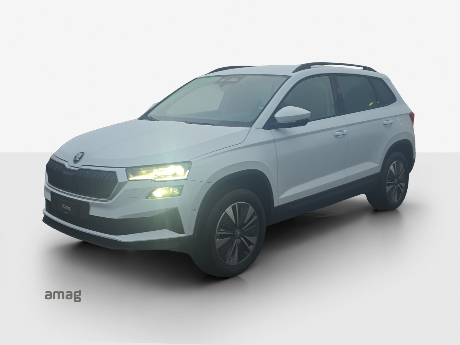 SKODA Karoq 2.0 TDI CR Dynamic 4x4 DSG-image-0