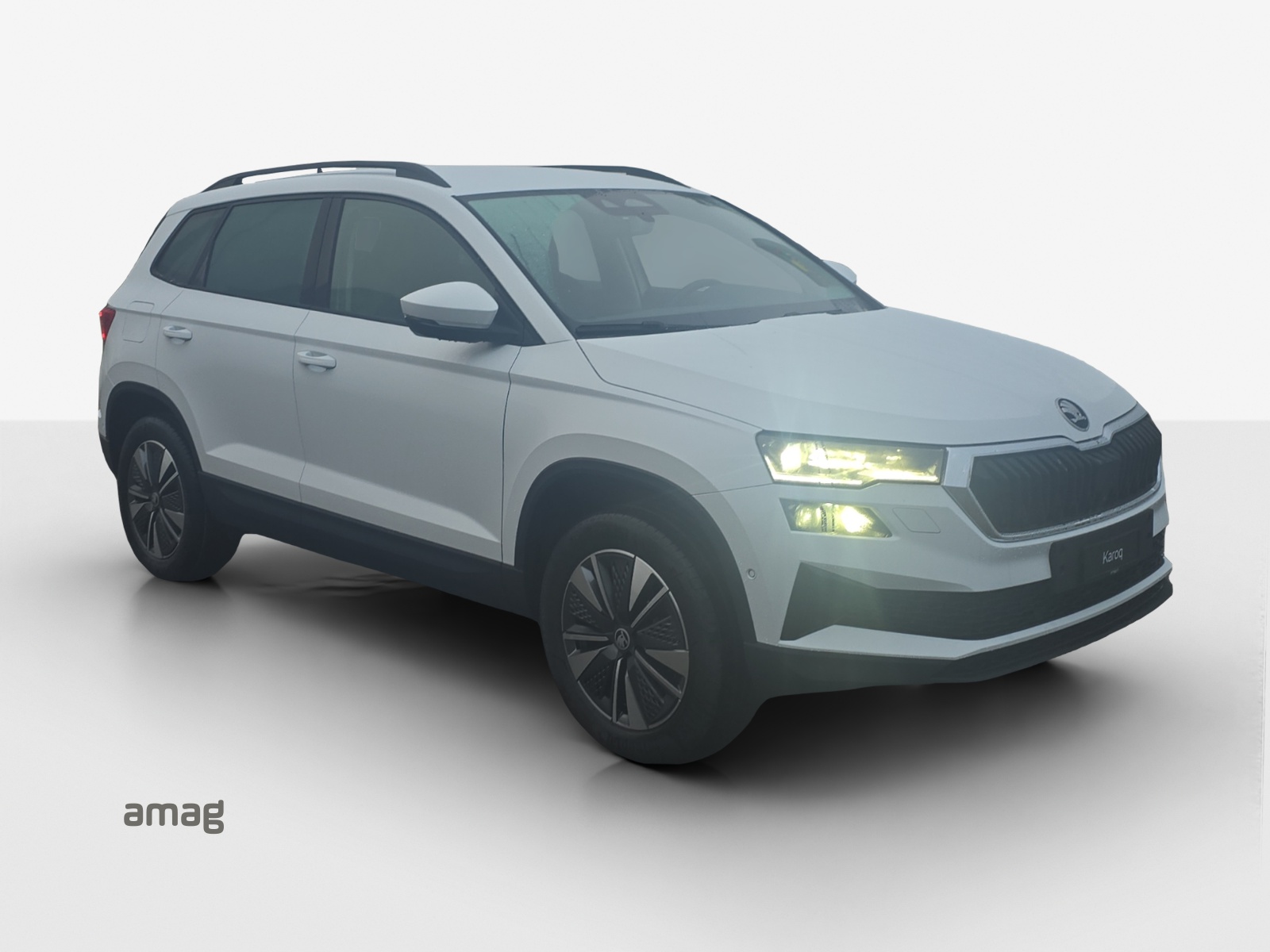 SKODA Karoq 2.0 TDI CR Dynamic 4x4 DSG-image-5