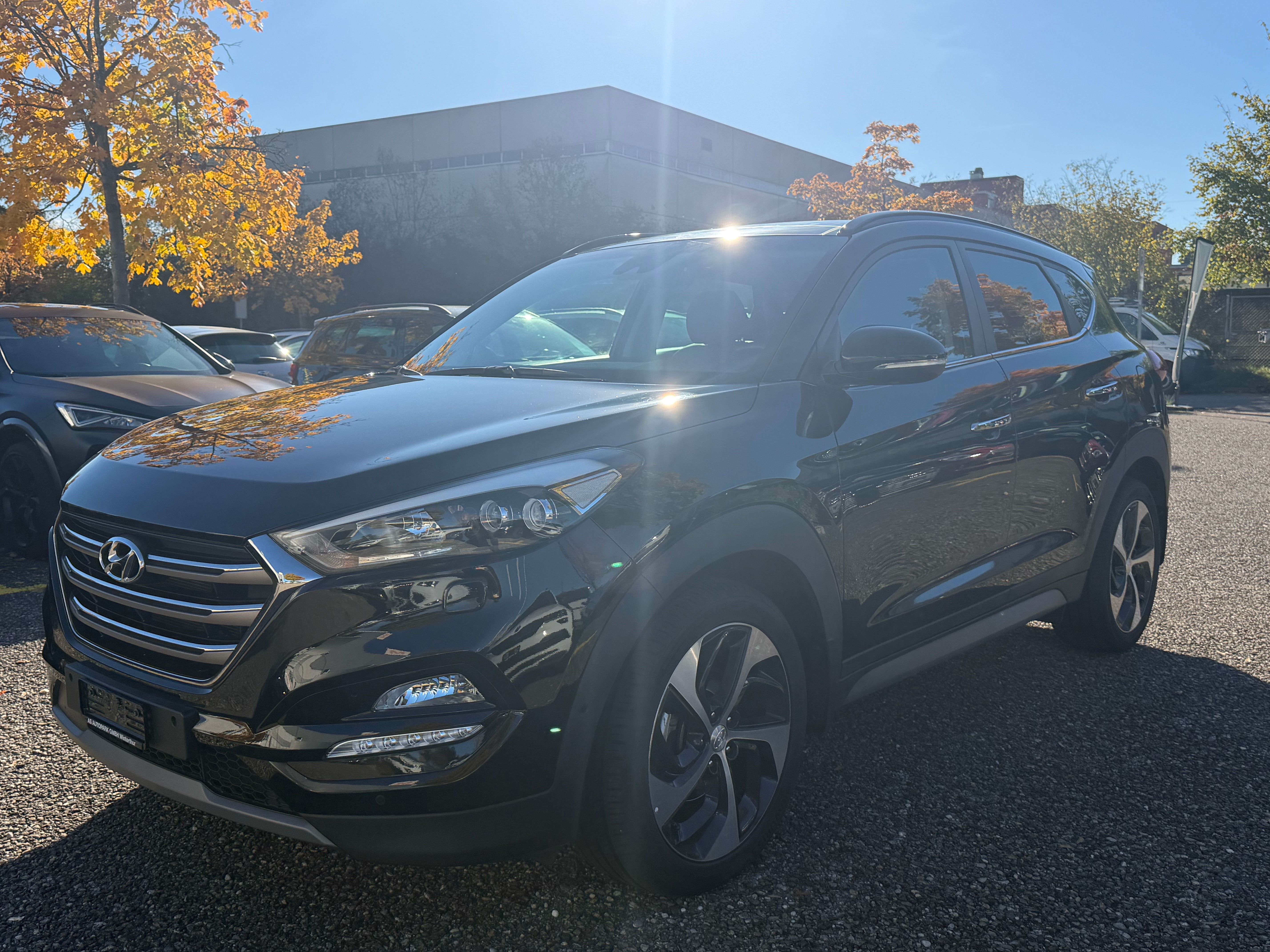 Car photo