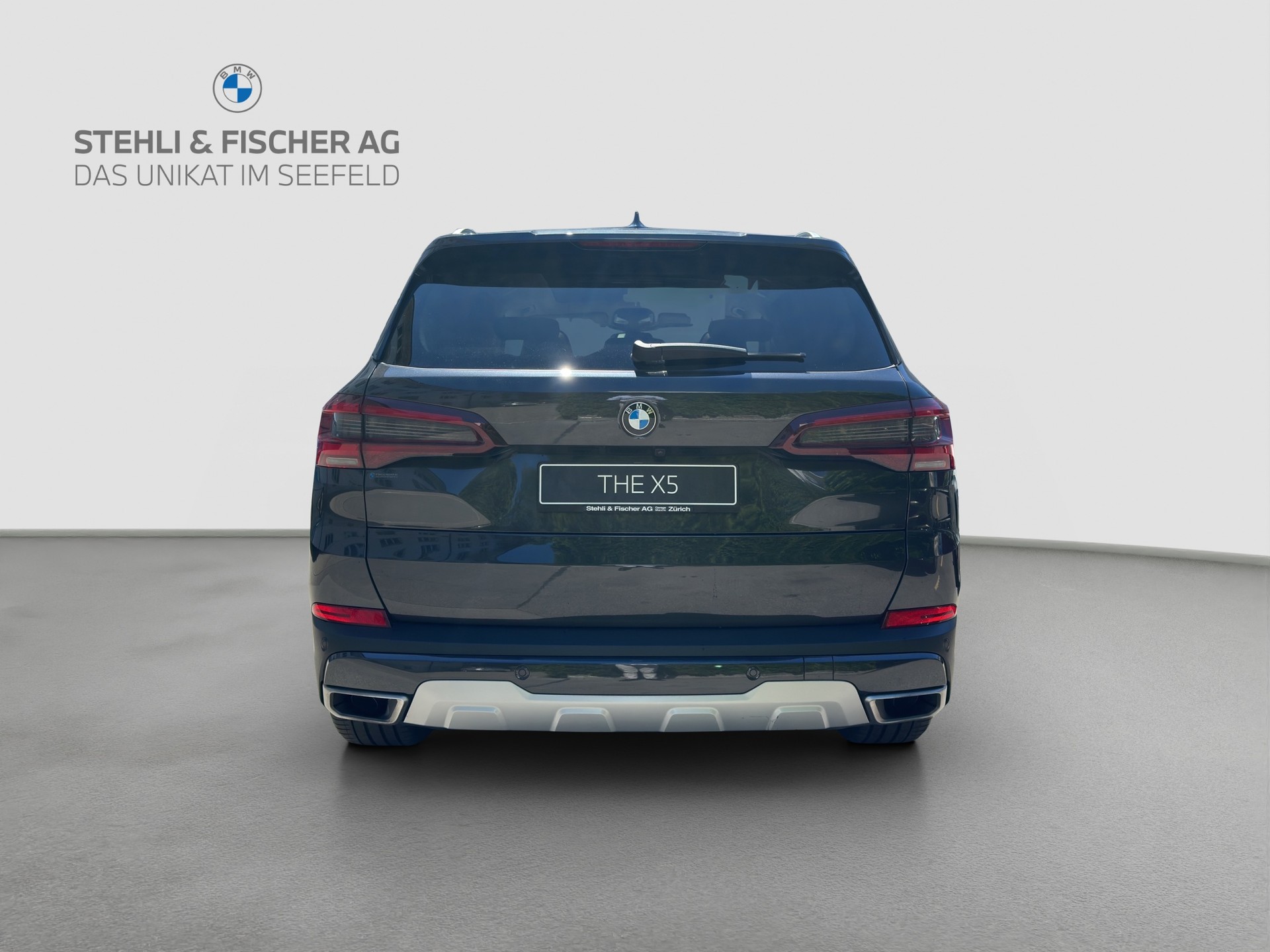 BMW X5 xDrive 48V 40d xLine Steptronic-showroom-element-3