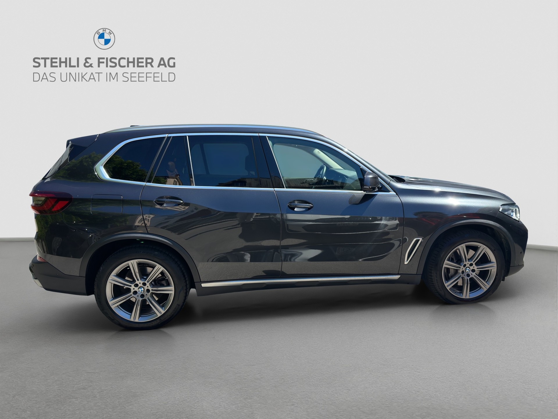 BMW X5 xDrive 48V 40d xLine Steptronic-image-6