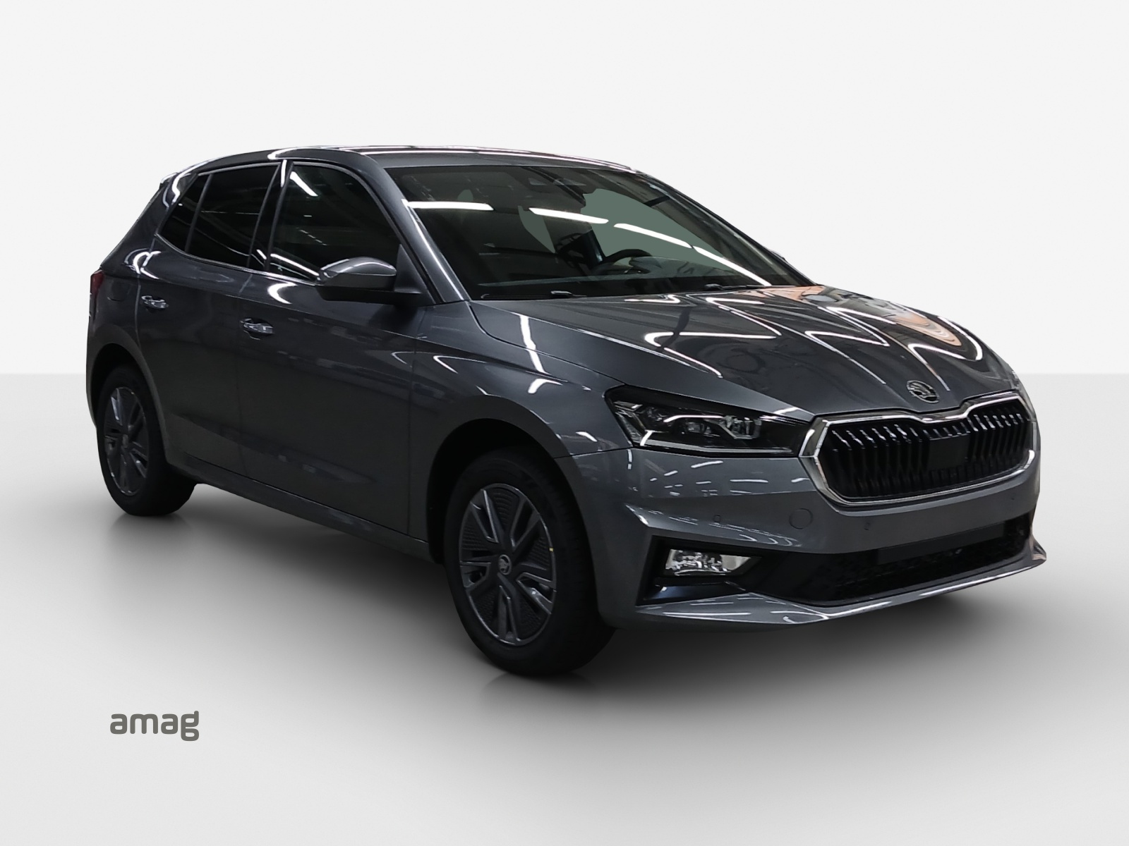 SKODA Fabia 1.0 TSI Dynamic DSG-image-5