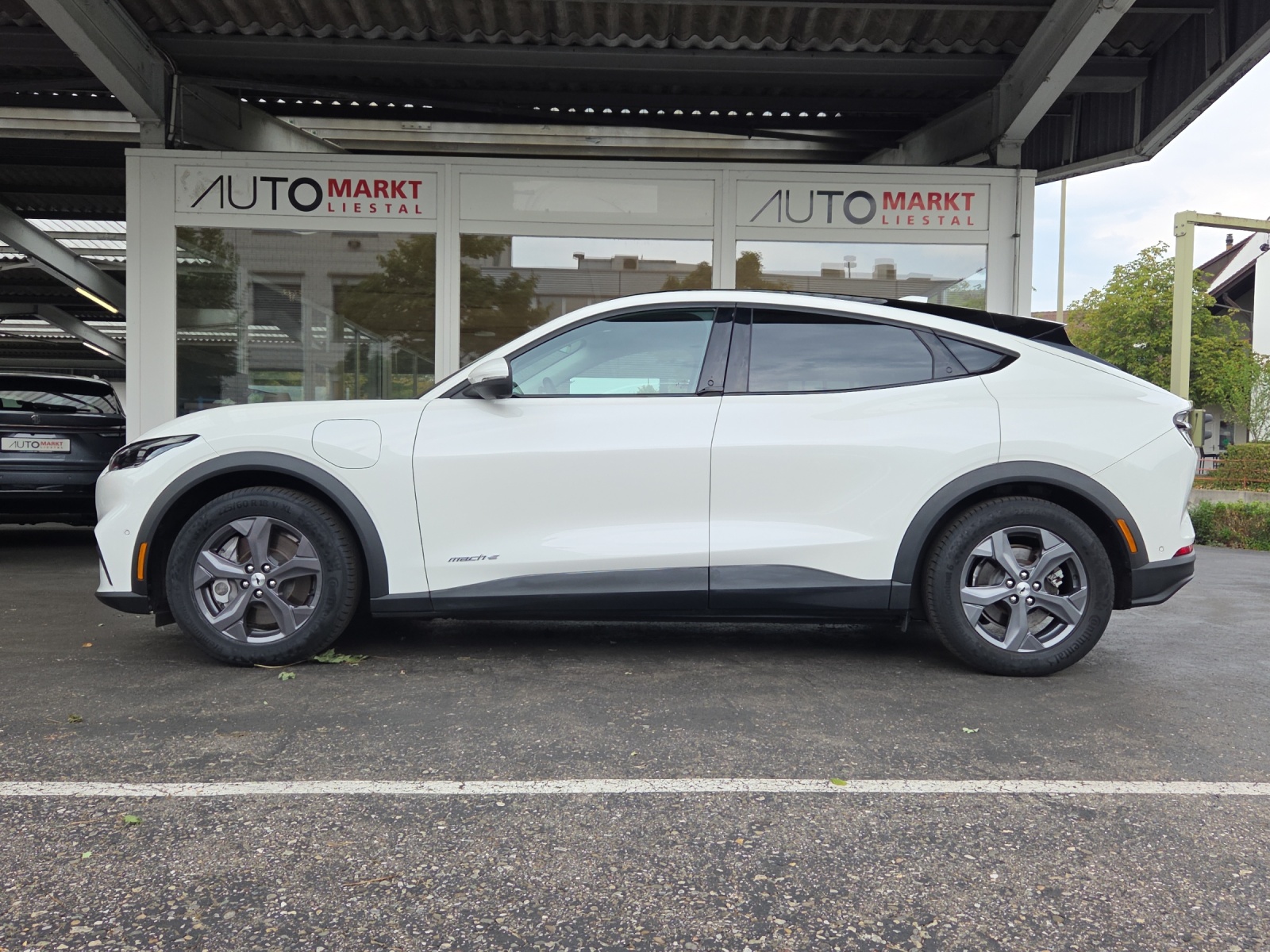 FORD Mustang MACH-E RWD 72.6 kWh-image-1