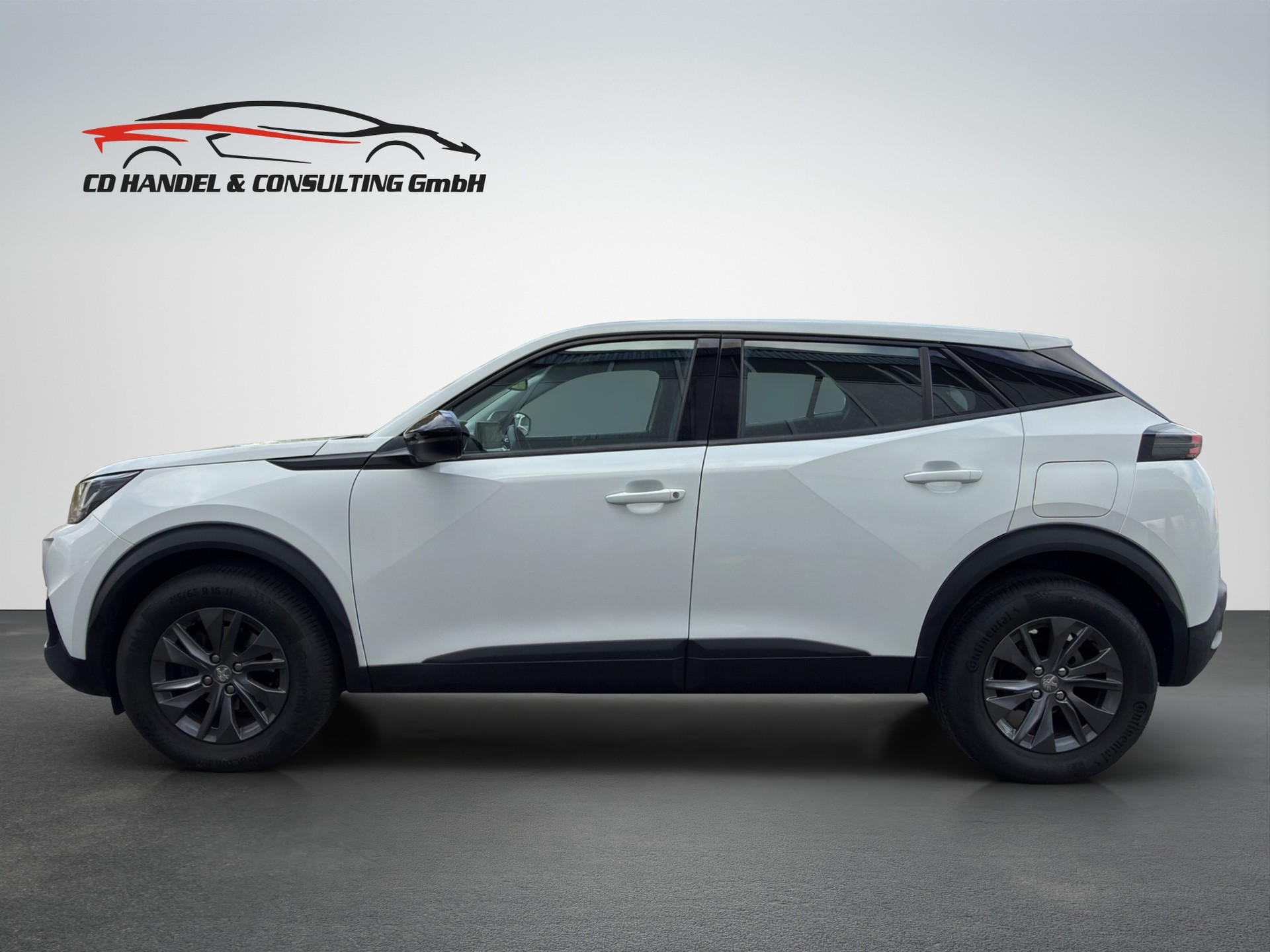 PEUGEOT 2008 1.2 PureTech Active Pack-image-6