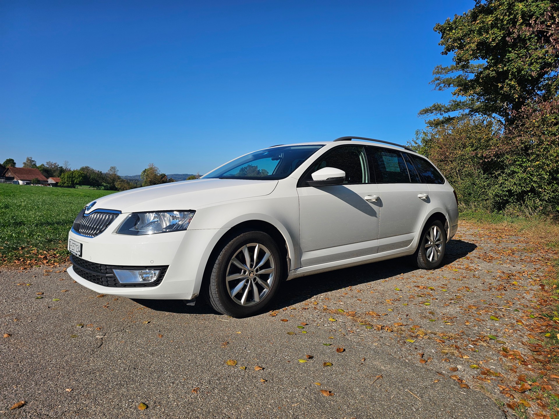 SKODA 2.0 TDI 150 Ambition DSG-image-0