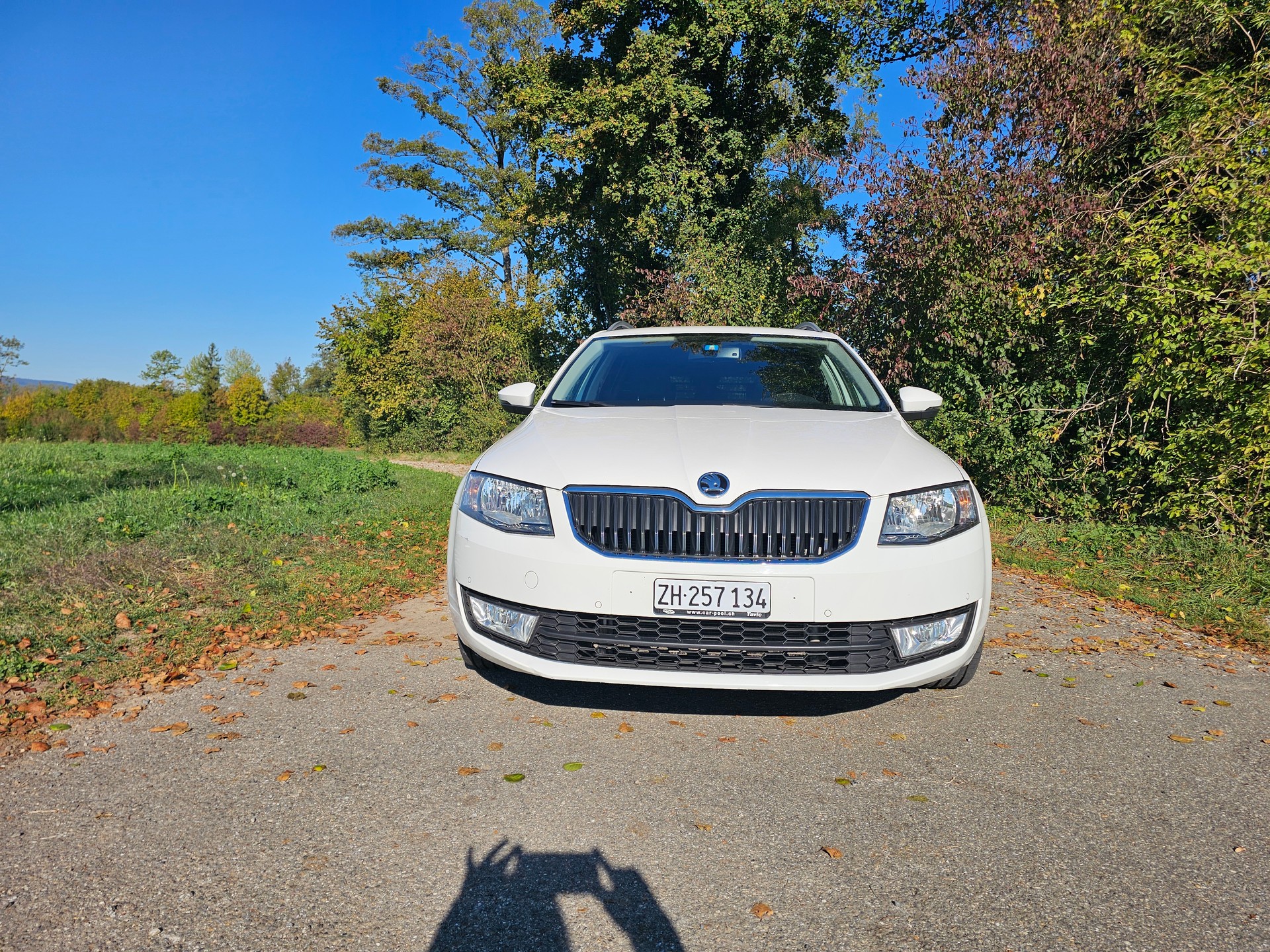 SKODA 2.0 TDI 150 Ambition DSG-image-1