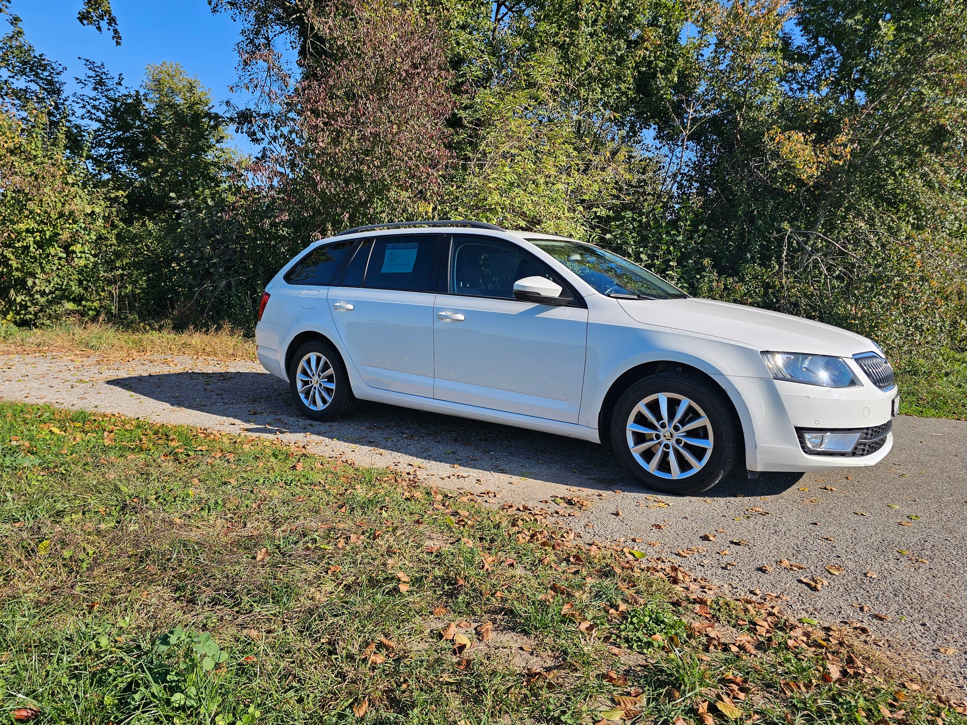 SKODA 2.0 TDI 150 Ambition DSG-image-2