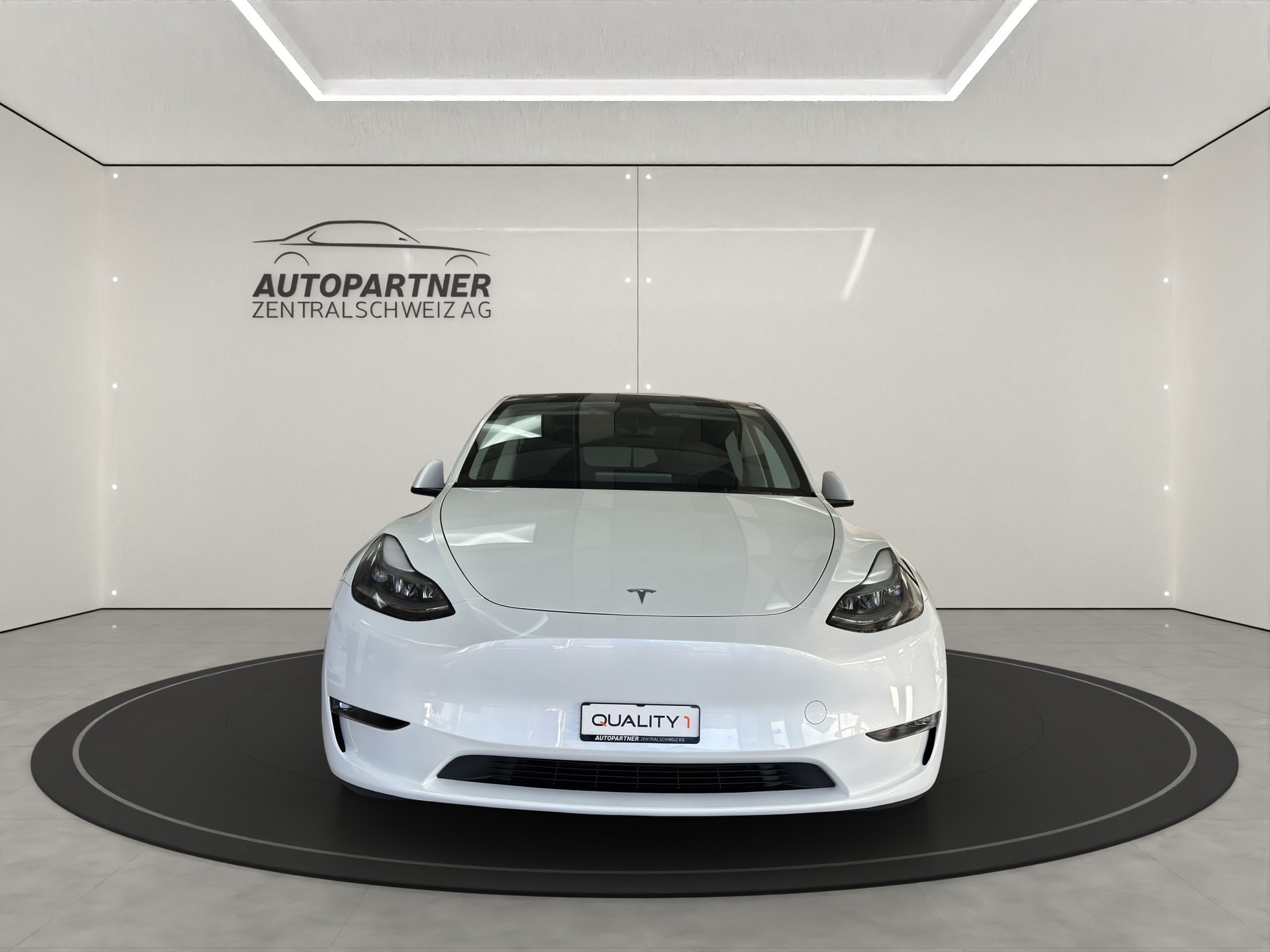TESLA Model Y Long Range-image-3