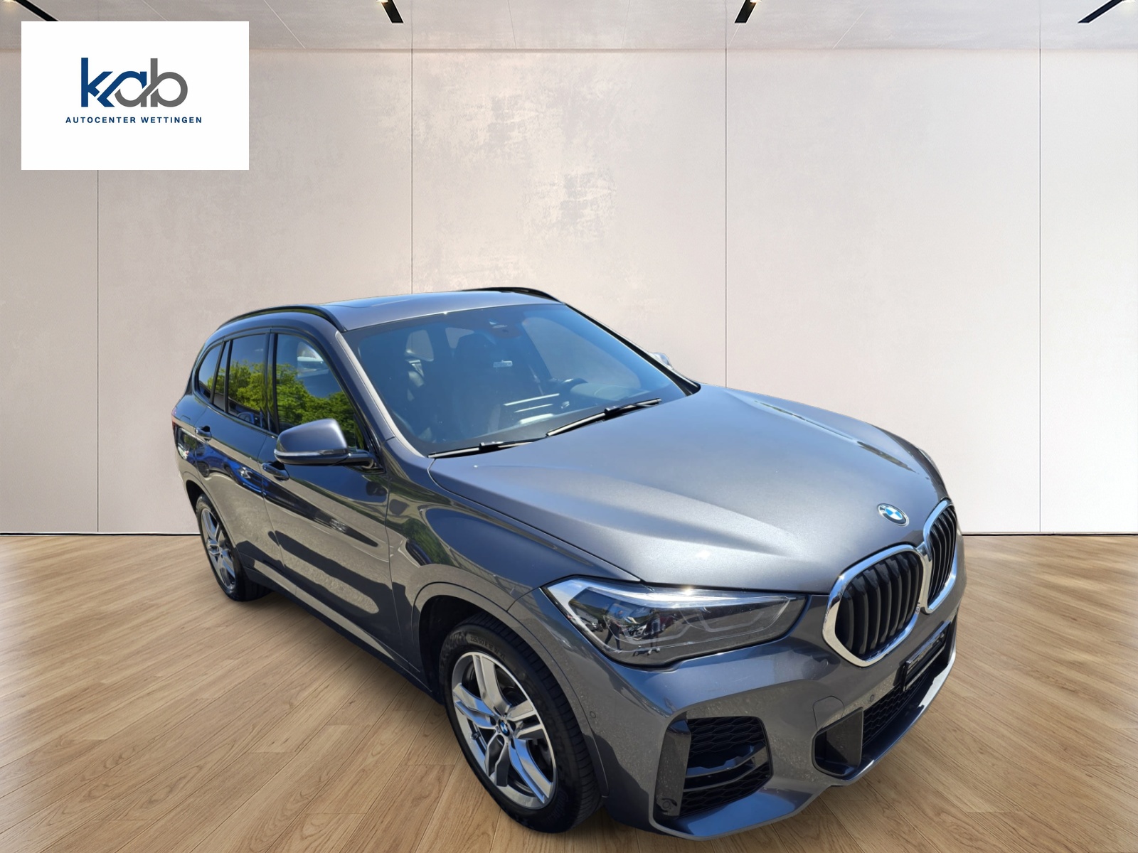 BMW X1 xDrive 25d M Sport Steptronic-image-2