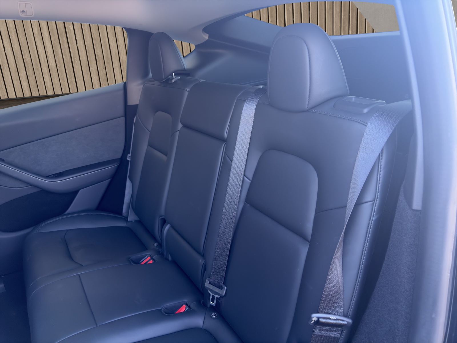 TESLA Model Y Performance-image-13