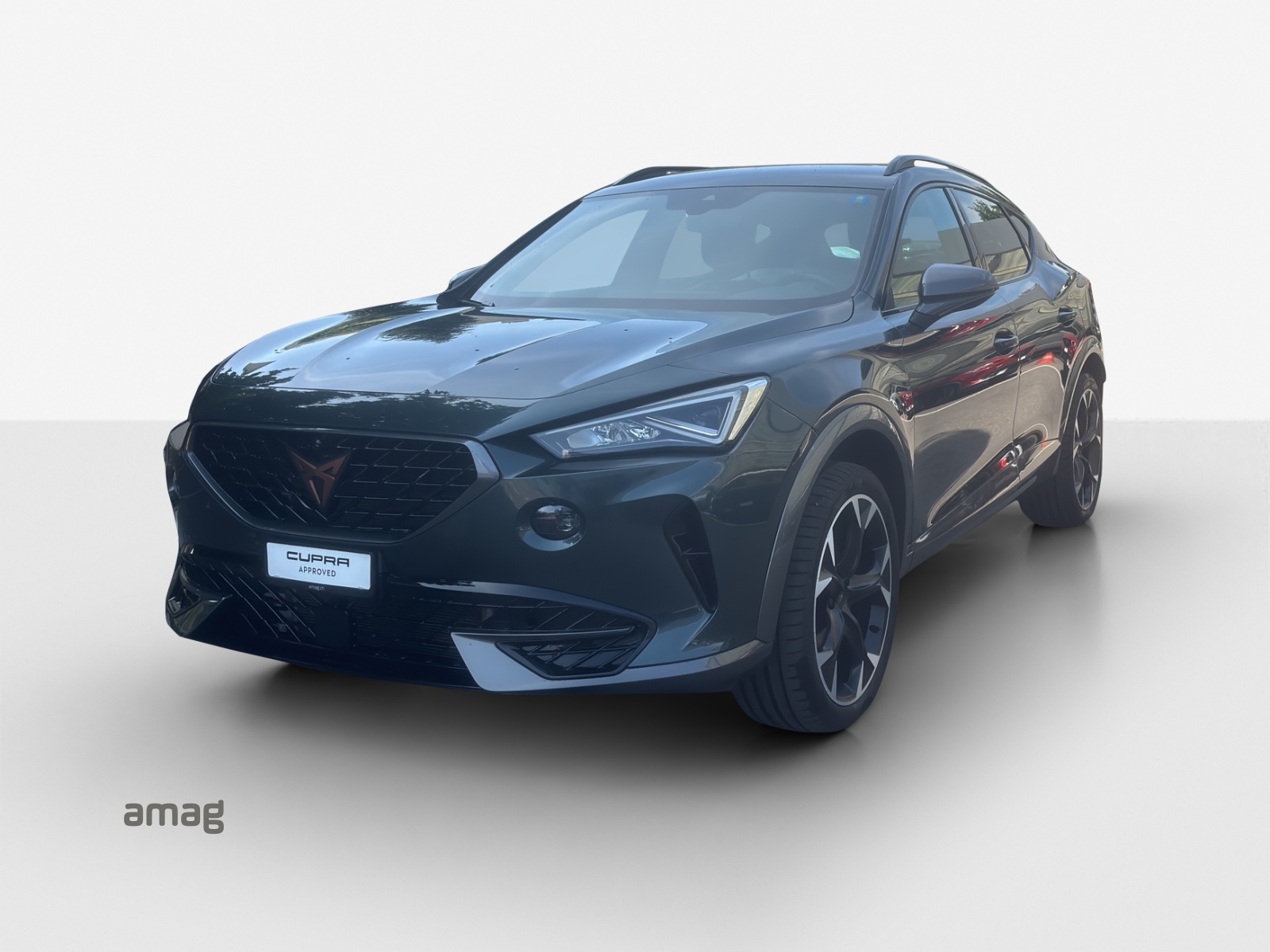 CUPRA Formentor 2.0TSI 4Drive DSG-image-0