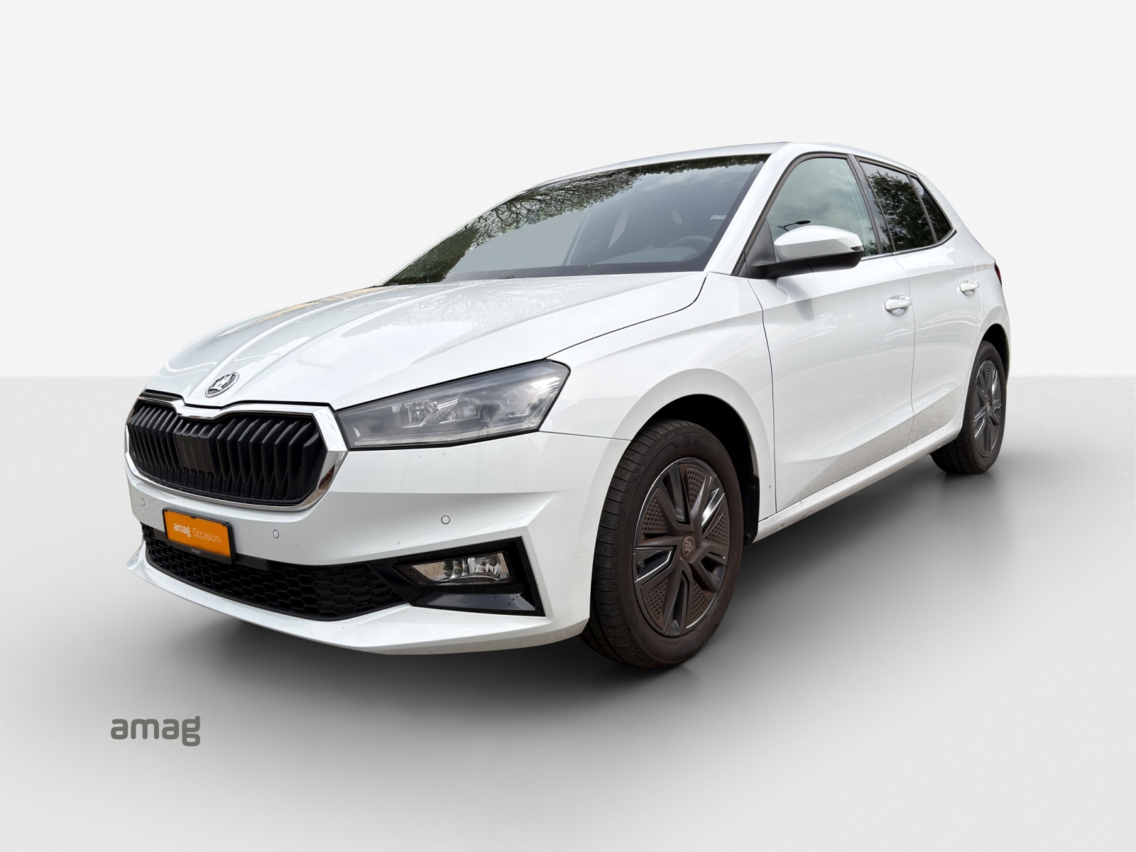 SKODA Fabia 1.0 TSI Dynamic DSG-image-0