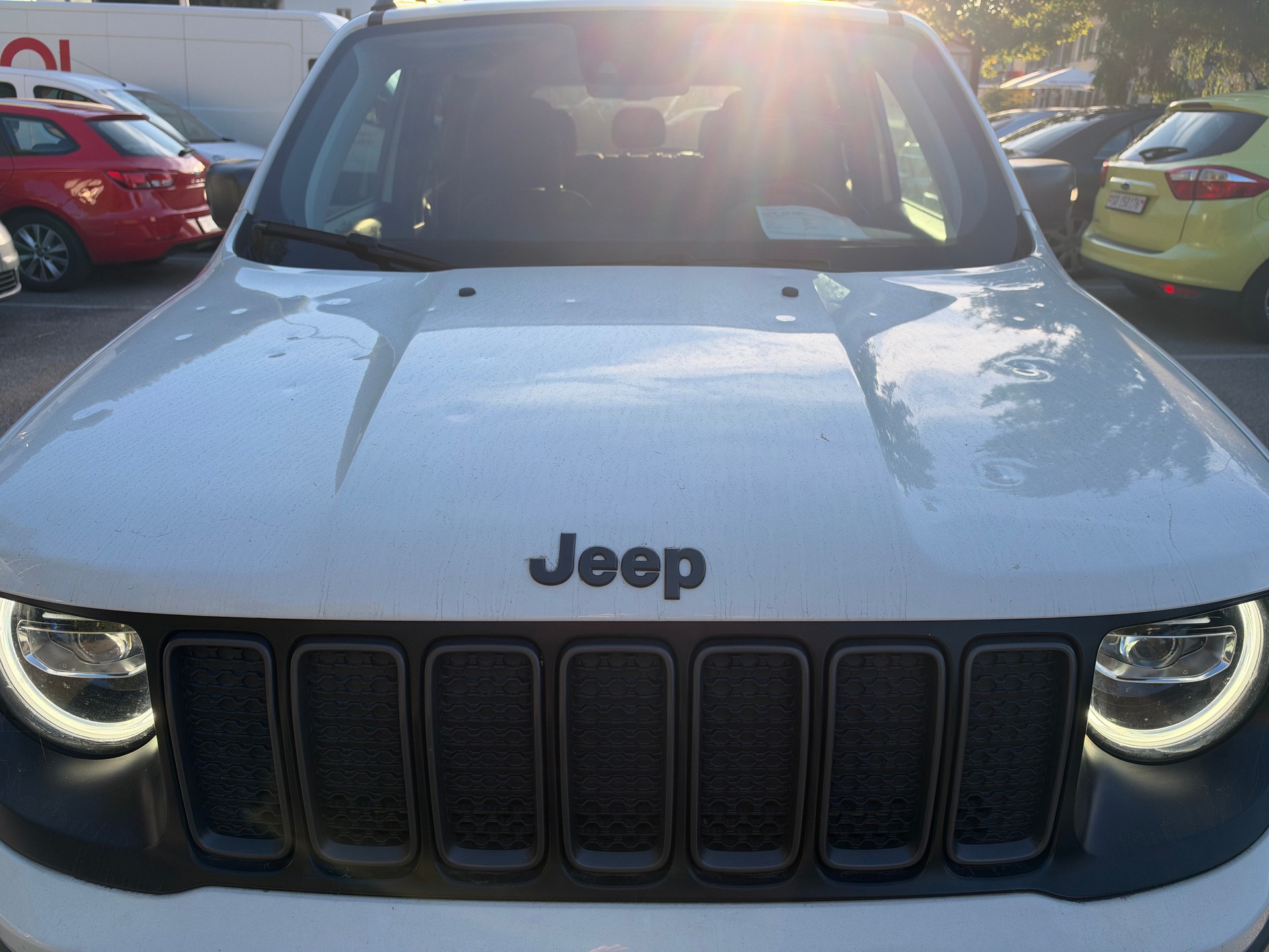JEEP Renegade 2.0 MJ Trailhawk AWD + Low Range 9ATX-image-13