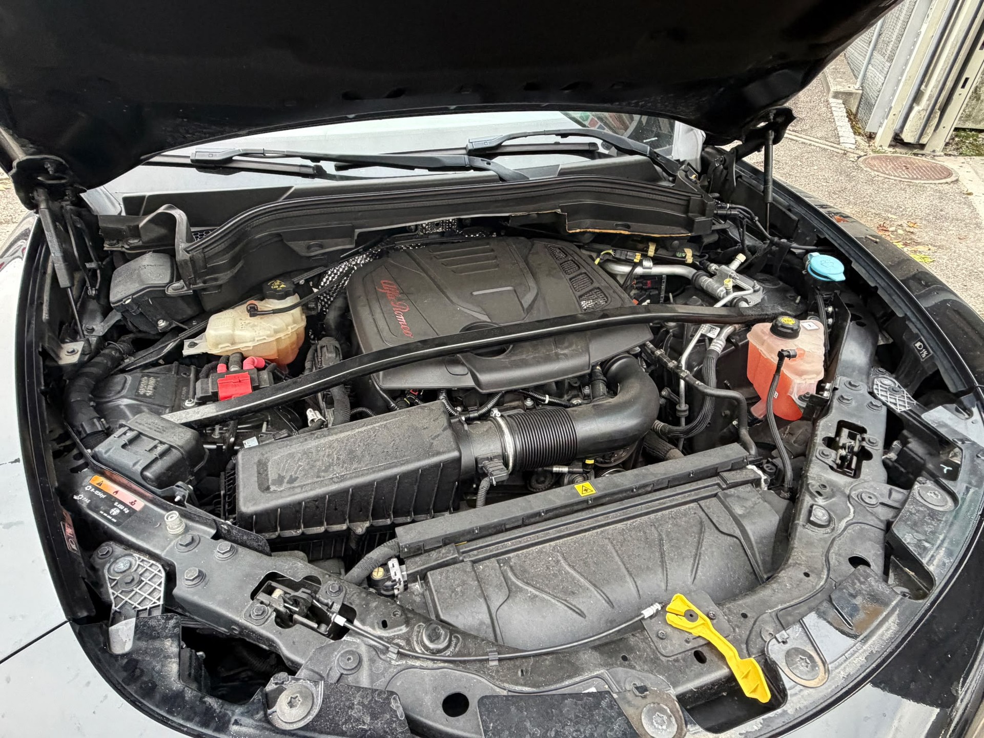 ALFA ROMEO Stelvio 2.0 First Edition Q4 Automatic-image-8
