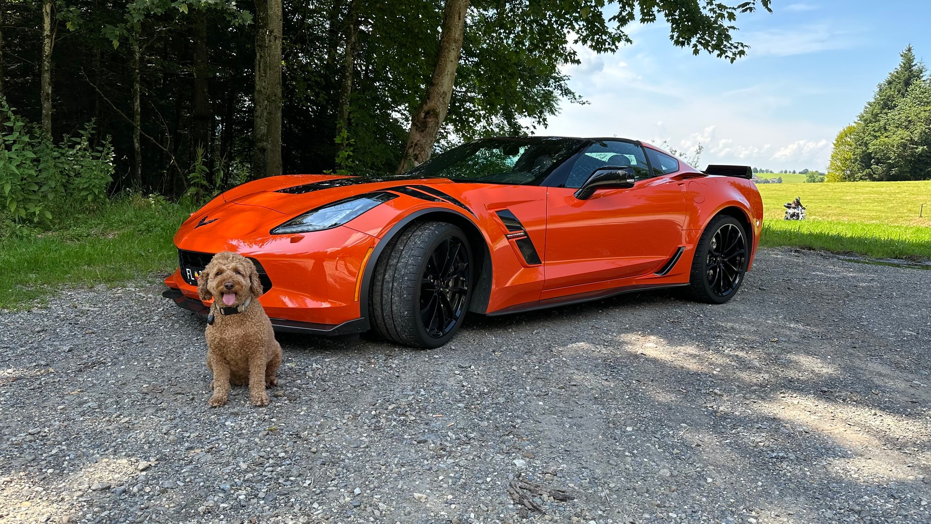 CHEVROLET Corvette Coupé Grand Sport 3LT Carbon Automatic (Final Edition)-image-13
