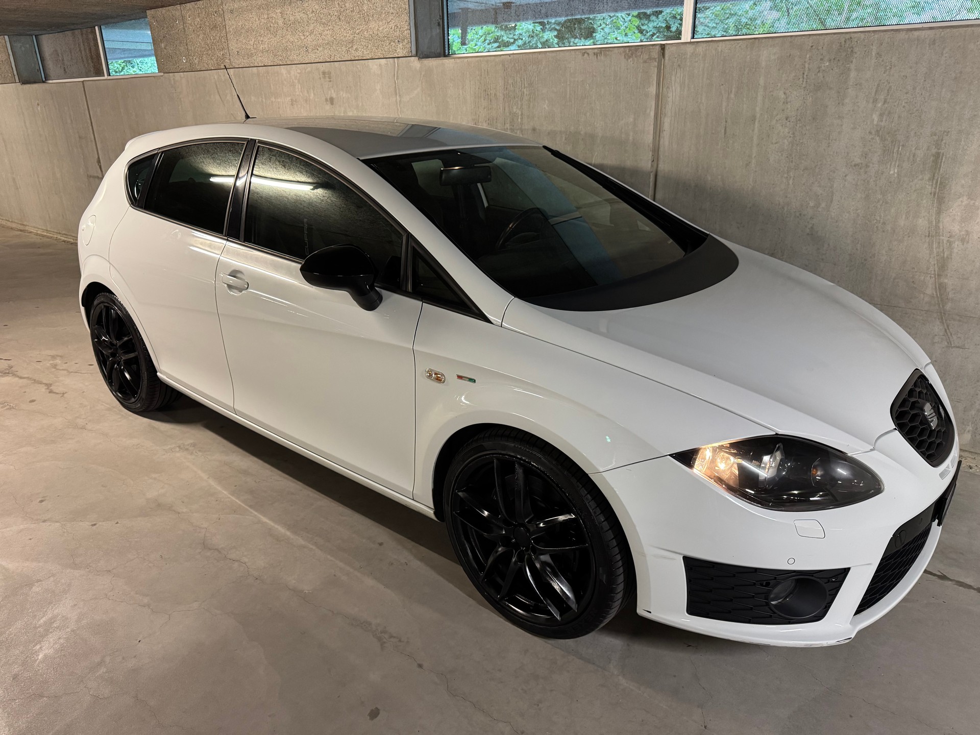 SEAT Leon 2.0 TSI Cupra R310 World Champion Edition-image-3