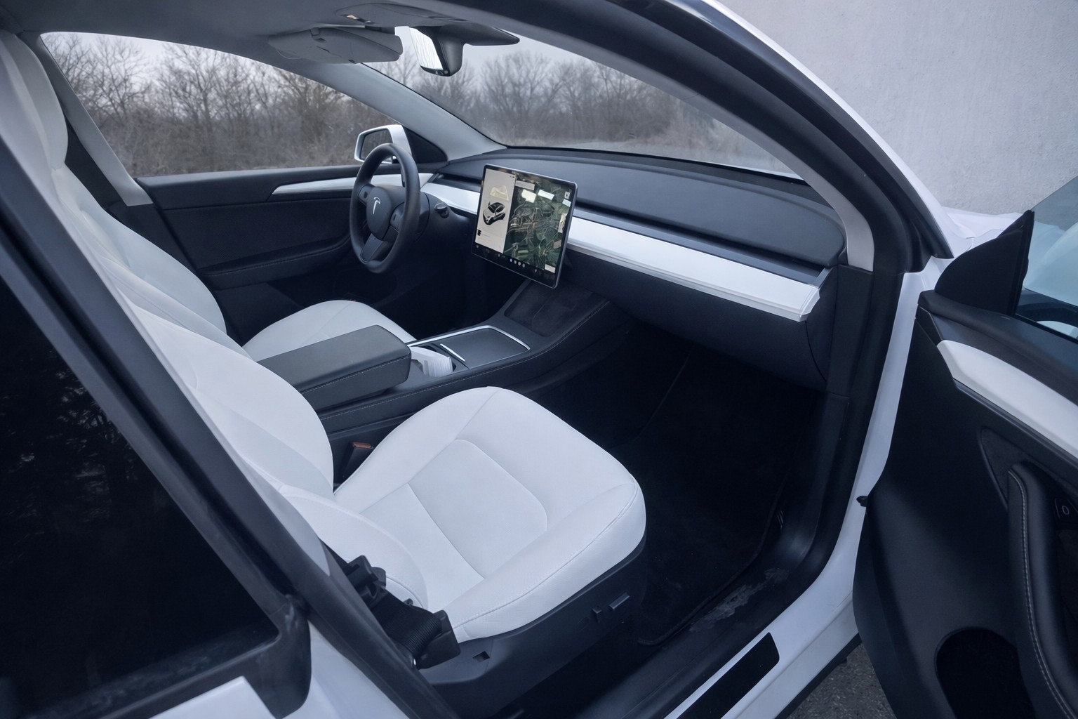 TESLA Model Y Long Range-image-3