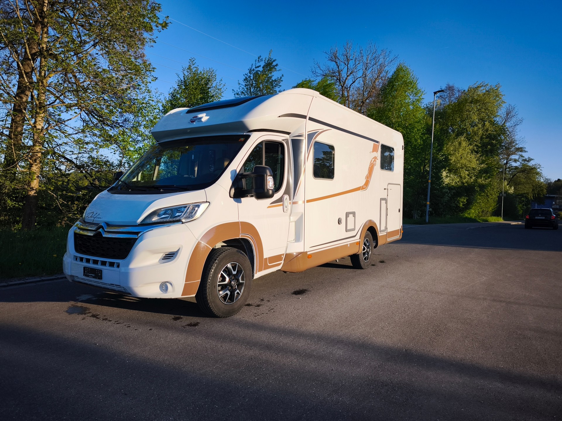 BÜRSTNER T 690G Delfin Harmony Line-image-5