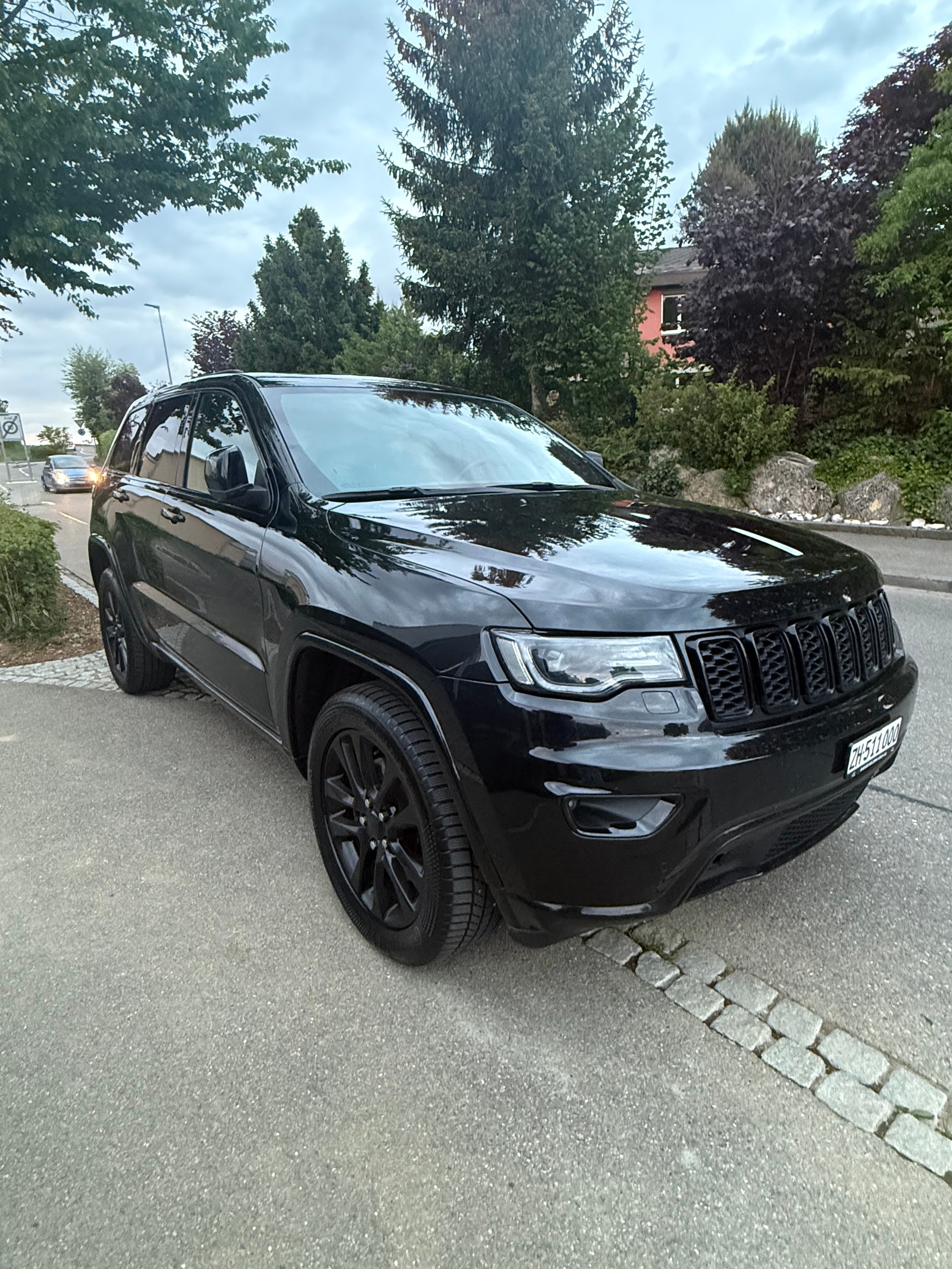 JEEP 3.0 CRD 250 Night Eagle-image-6