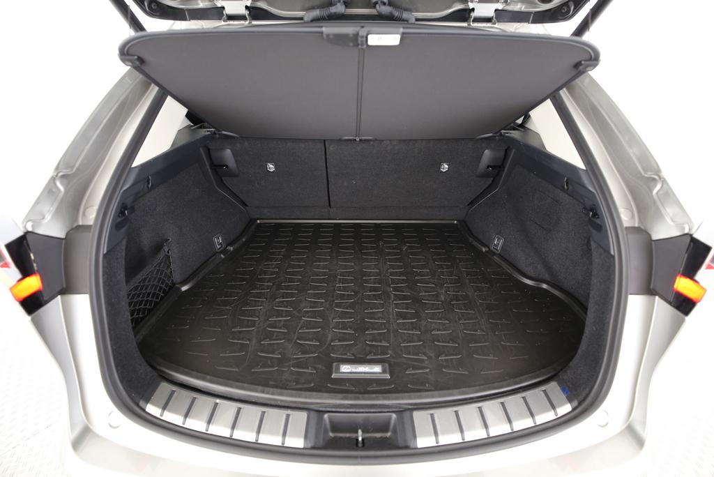 LEXUS NX 450h+ Excellence-image-12