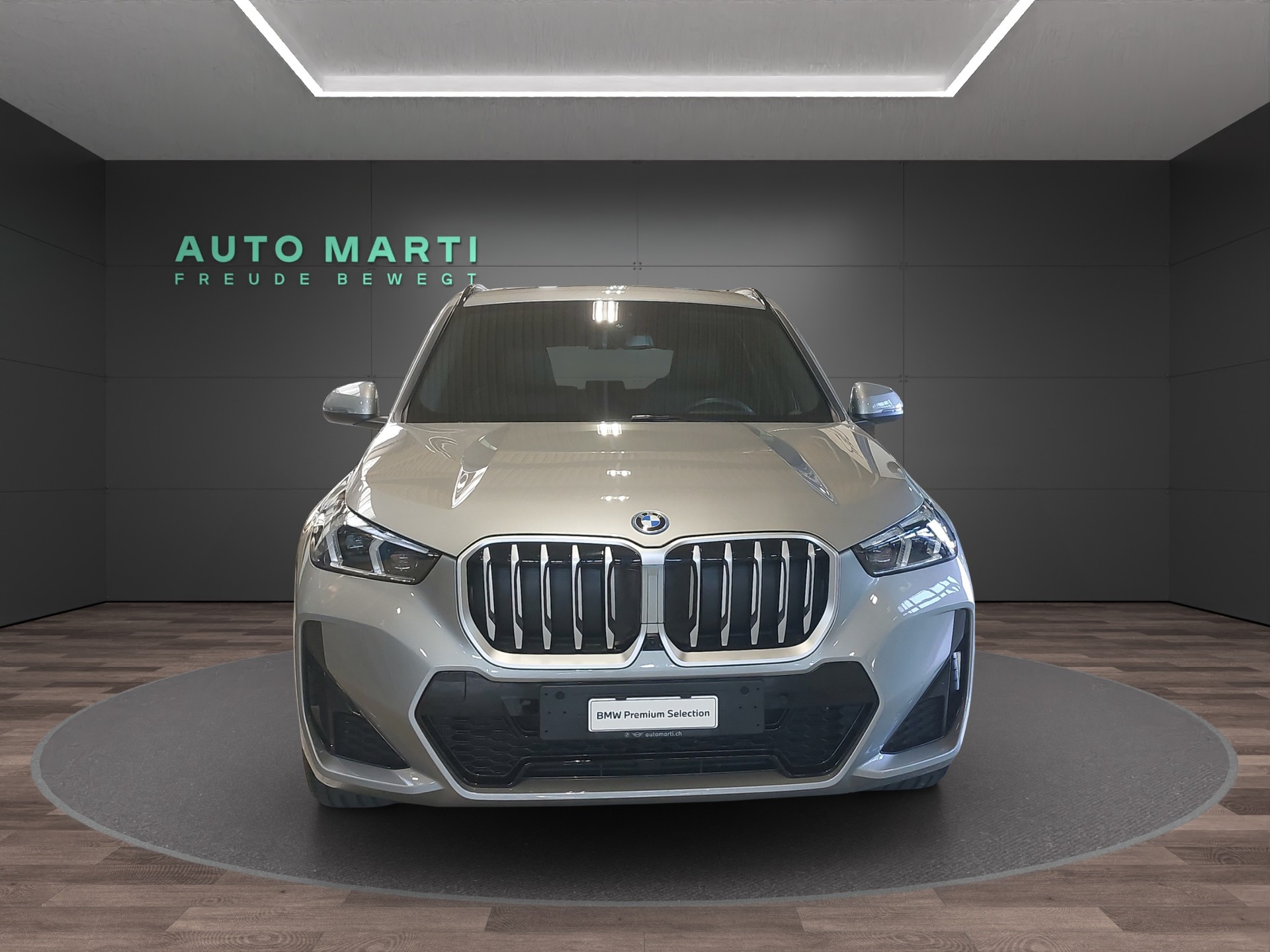 BMW X1 U11 30e xDrive paddles-image-4