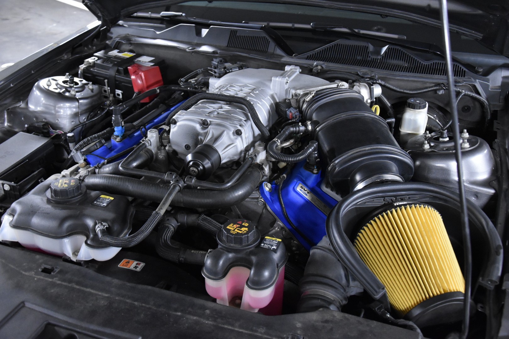 FORD GT500 SHELBY SVT 5.8 20TH ANNIVERSARY-image-15