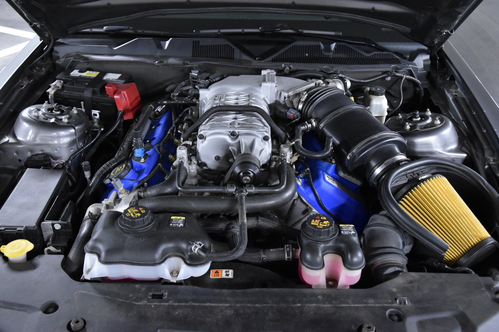 FORD GT500 SHELBY SVT 5.8 20TH ANNIVERSARY-image-14