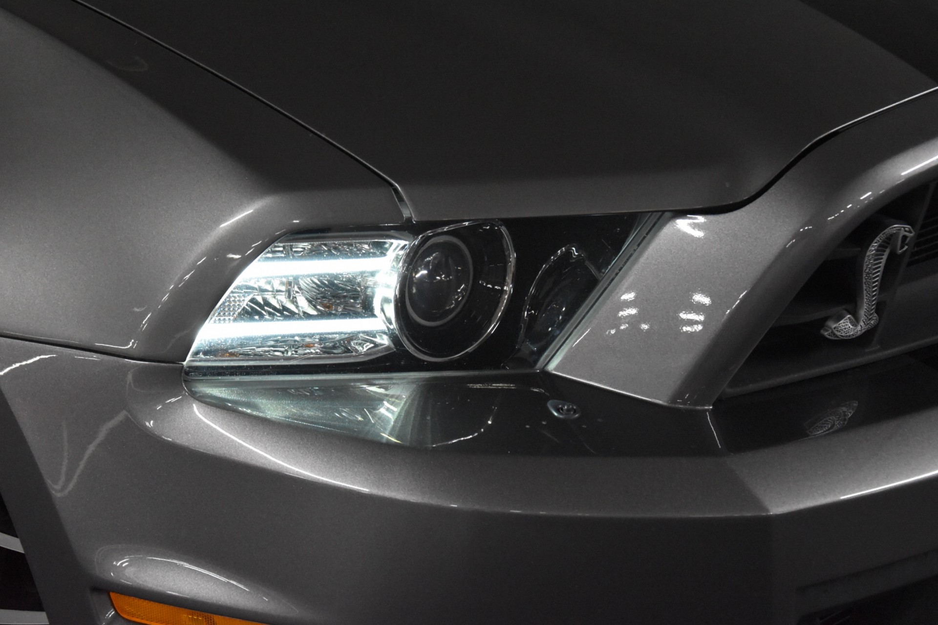 FORD GT500 SHELBY SVT 5.8 20TH ANNIVERSARY-image-10