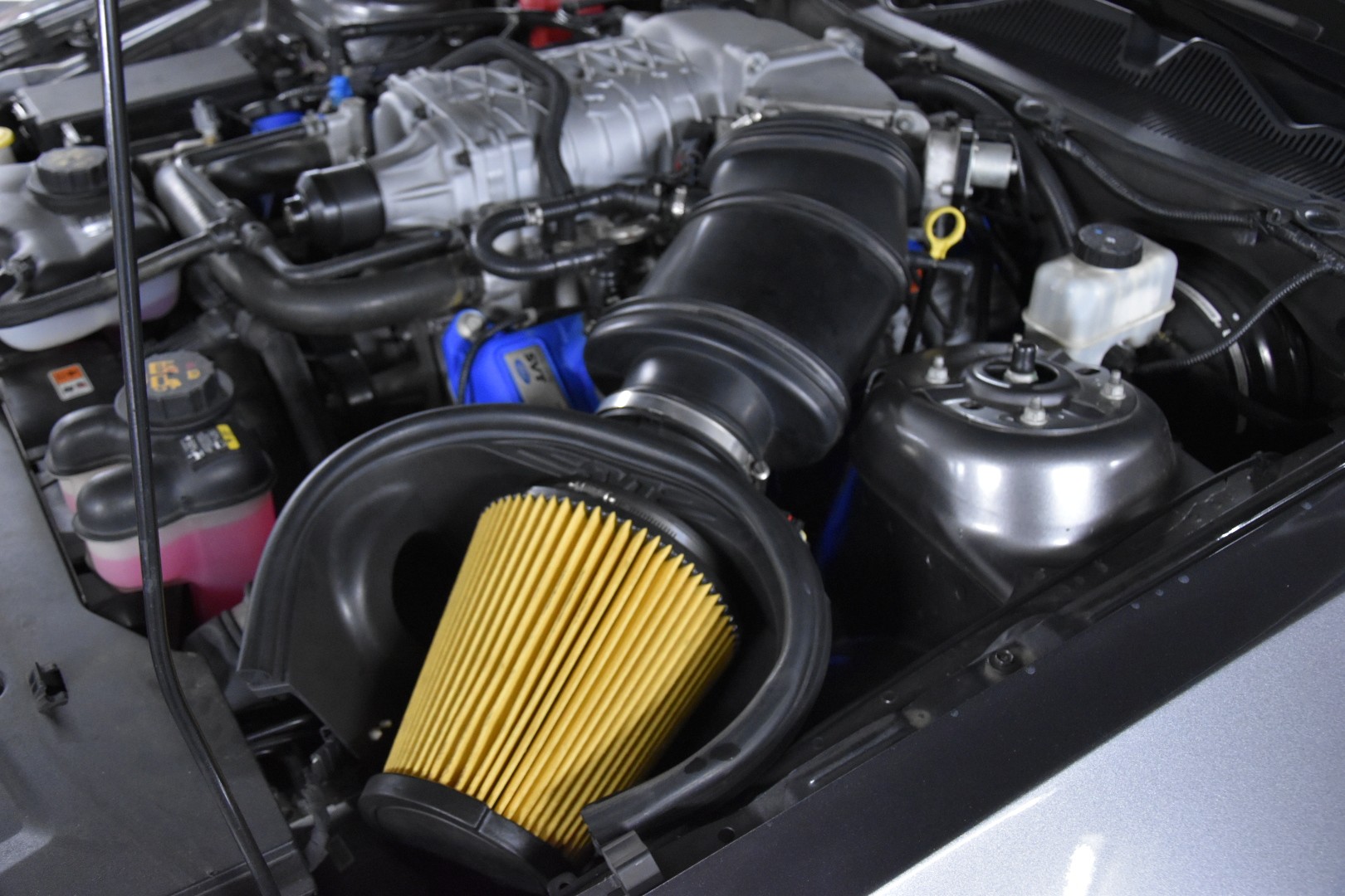 FORD GT500 SHELBY SVT 5.8 20TH ANNIVERSARY-image-16