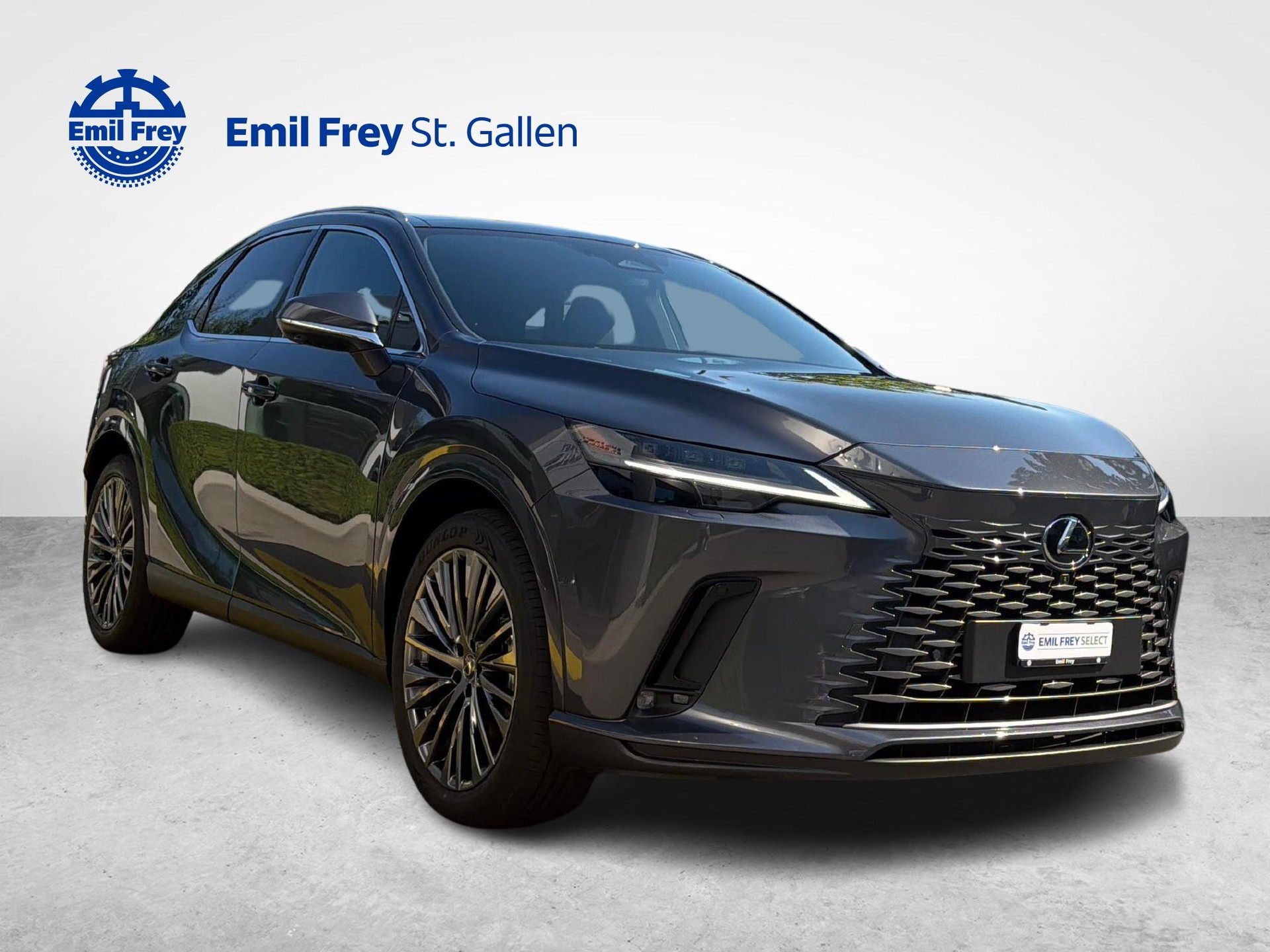 LEXUS RX 450h+ Excellence-image-6