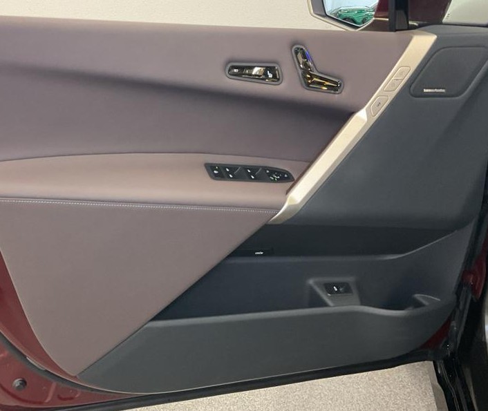 BMW iX xDrive40-image-4