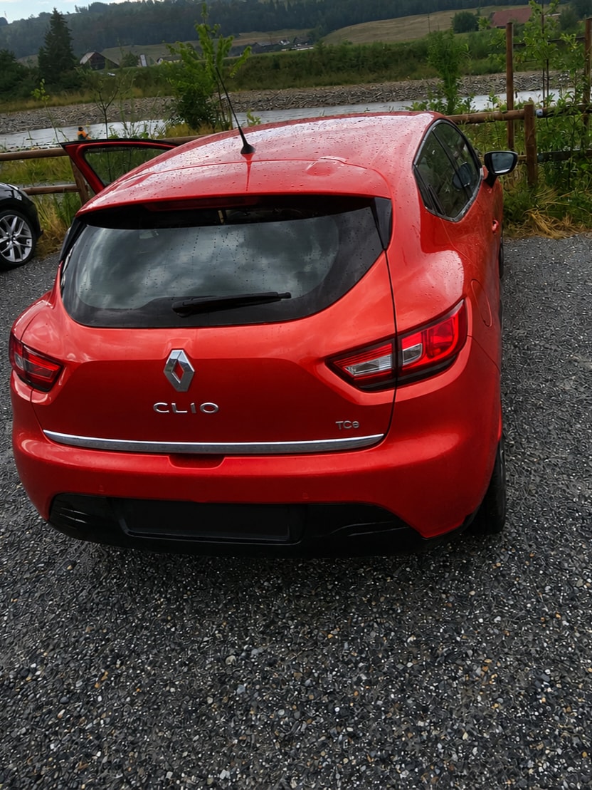 RENAULT 0.9 TCe Swiss Edition S/S-image-3