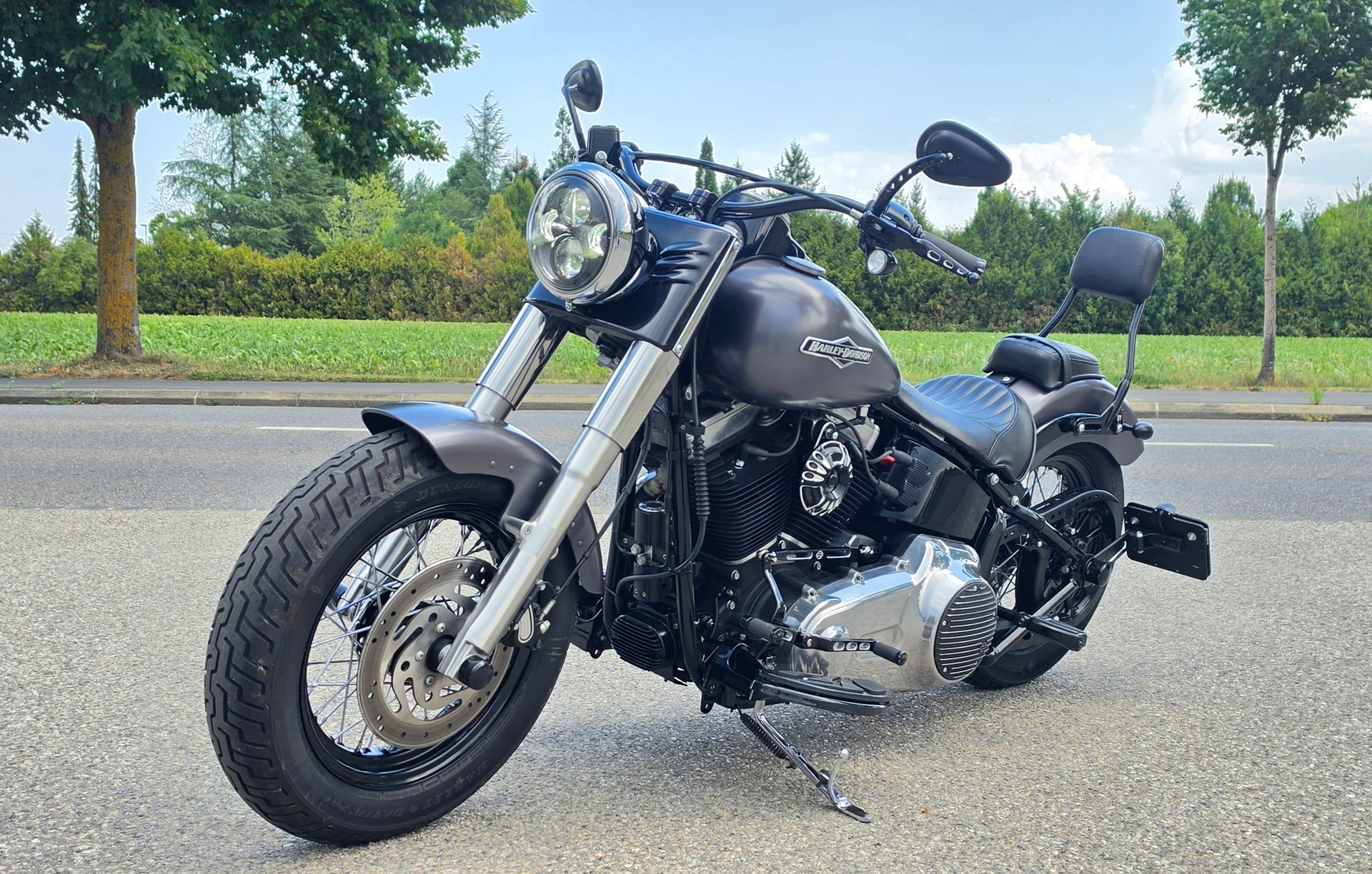 HARLEY-DAVIDSON FLS Softail Slim ABS-showroom-element-2