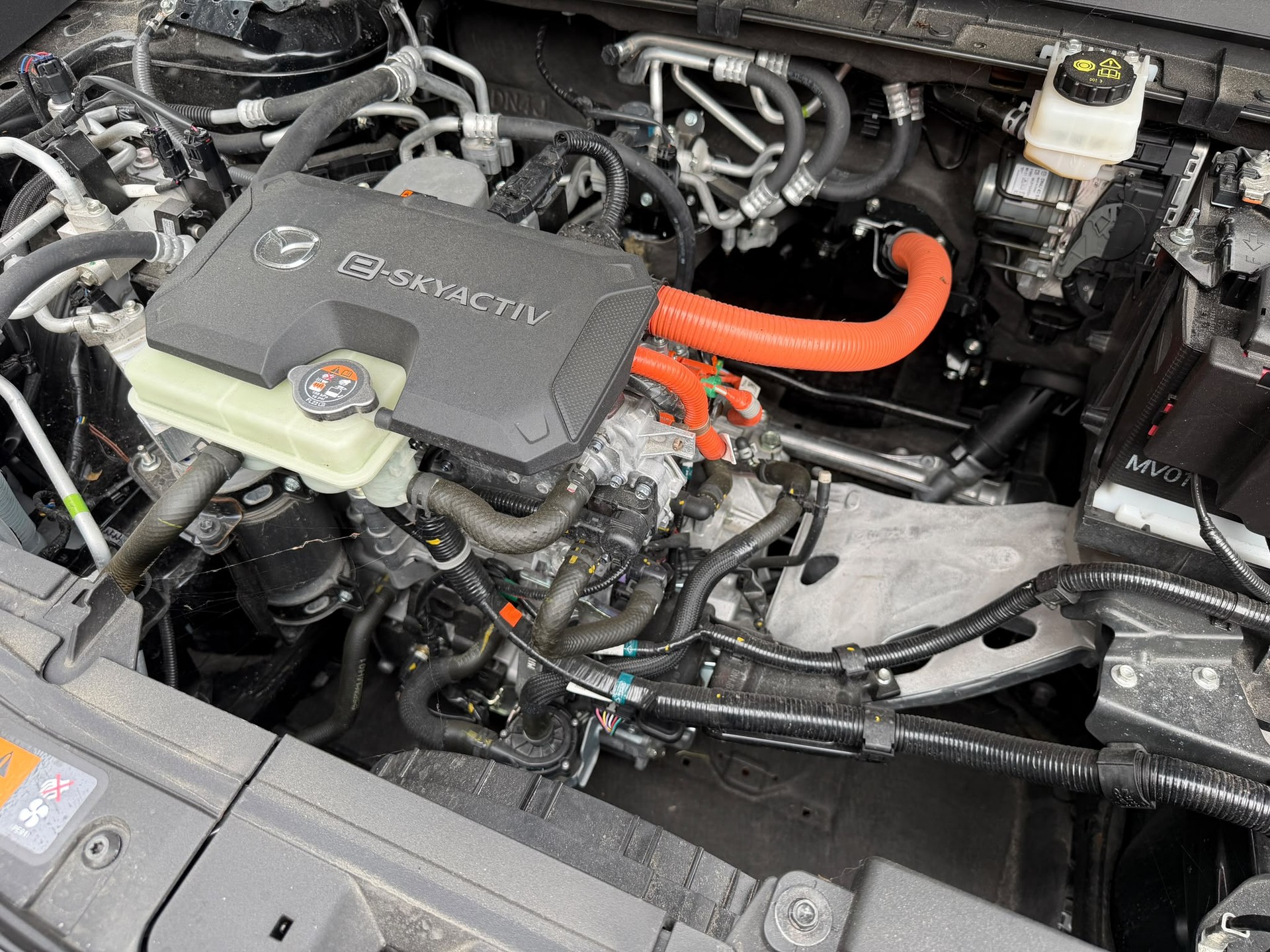 MAZDA MX-30 e-Skyactiv Makoto-image-7