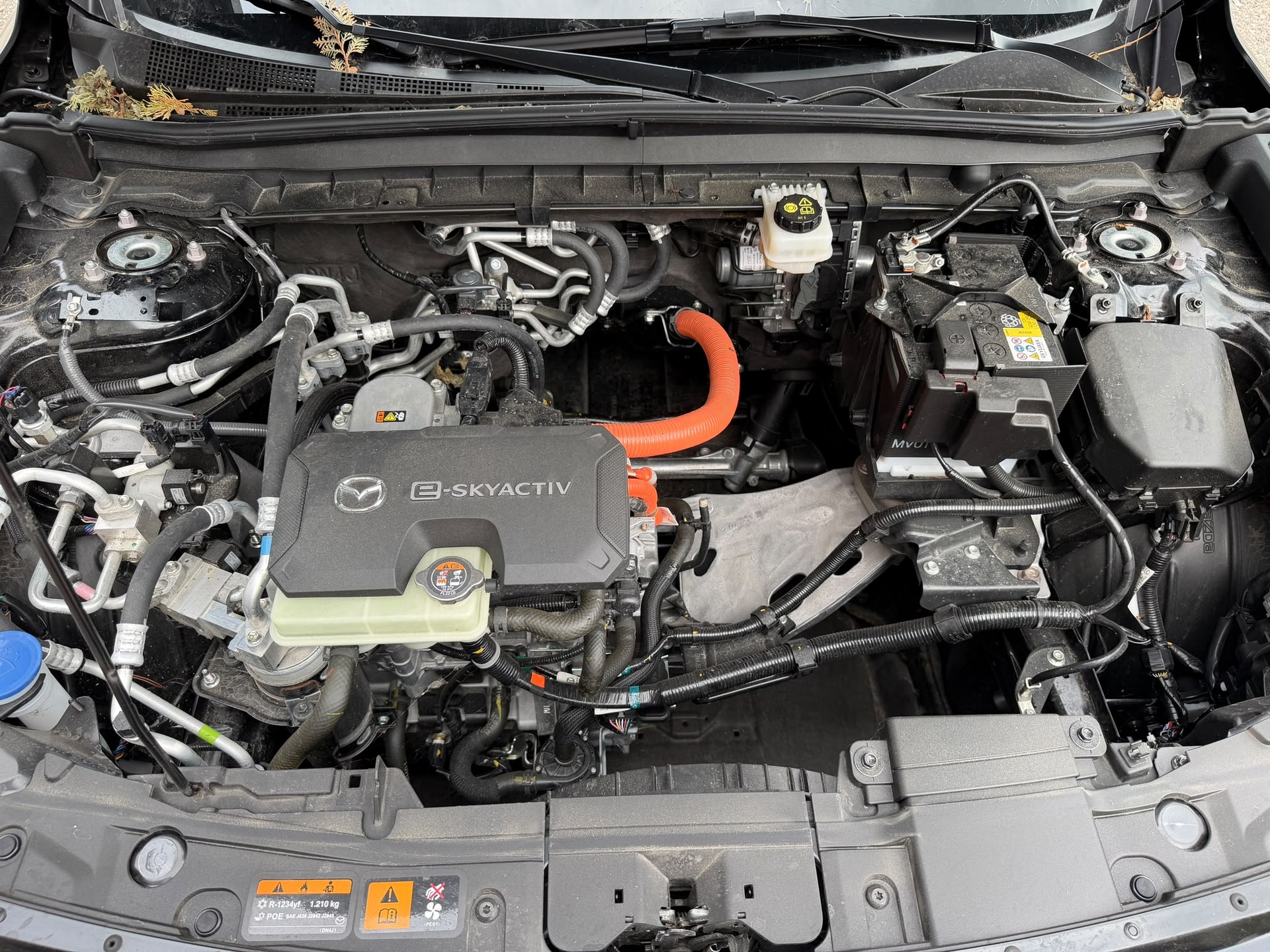 MAZDA MX-30 e-Skyactiv Makoto-image-9