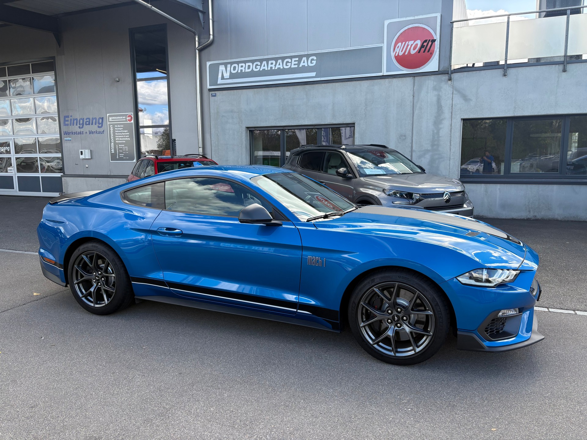 FORD Mustang Coupé 5.0 V8 Mach 1-image-1