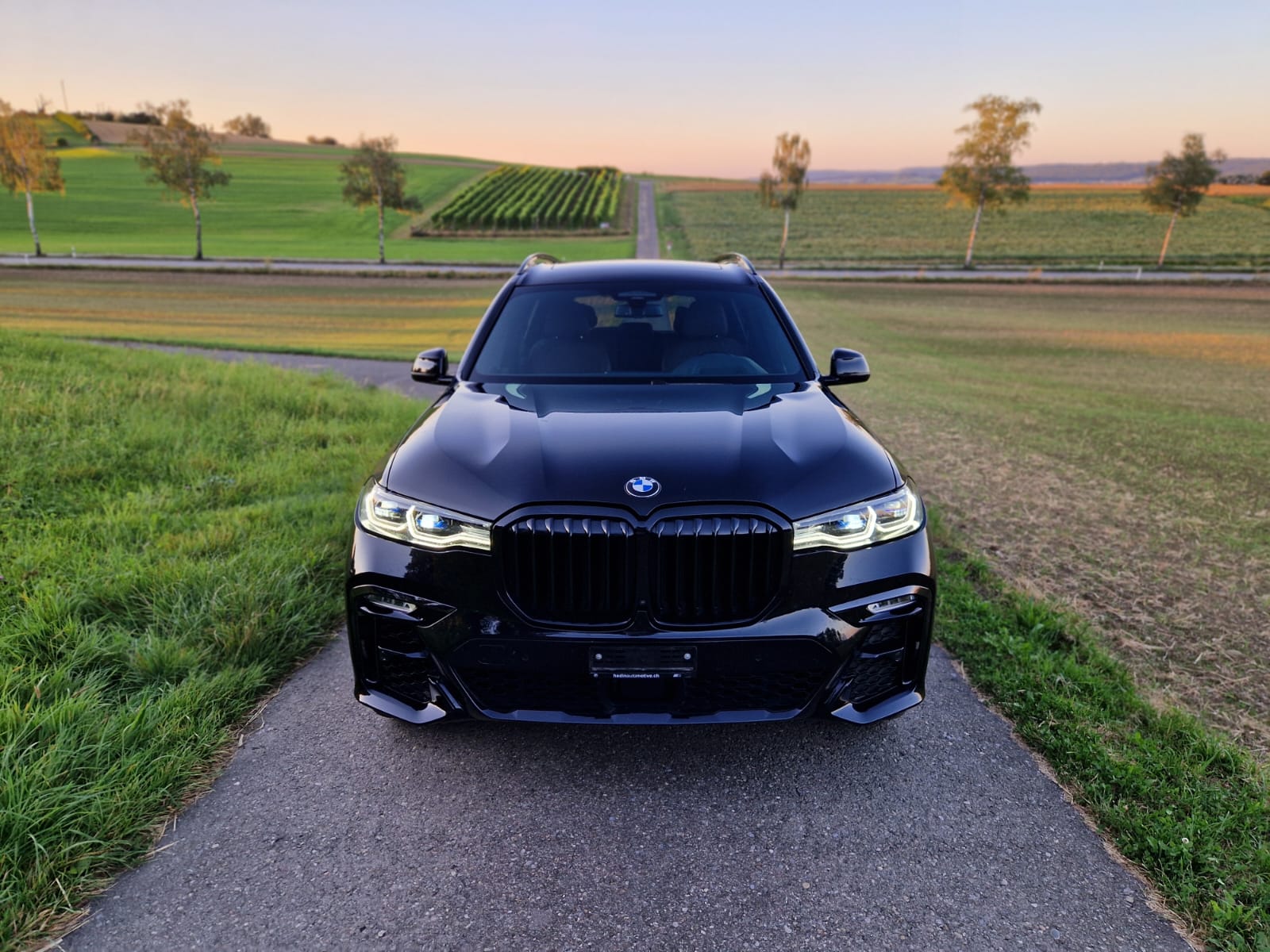 BMW X7 xDrive 30d Steptronic-image-2