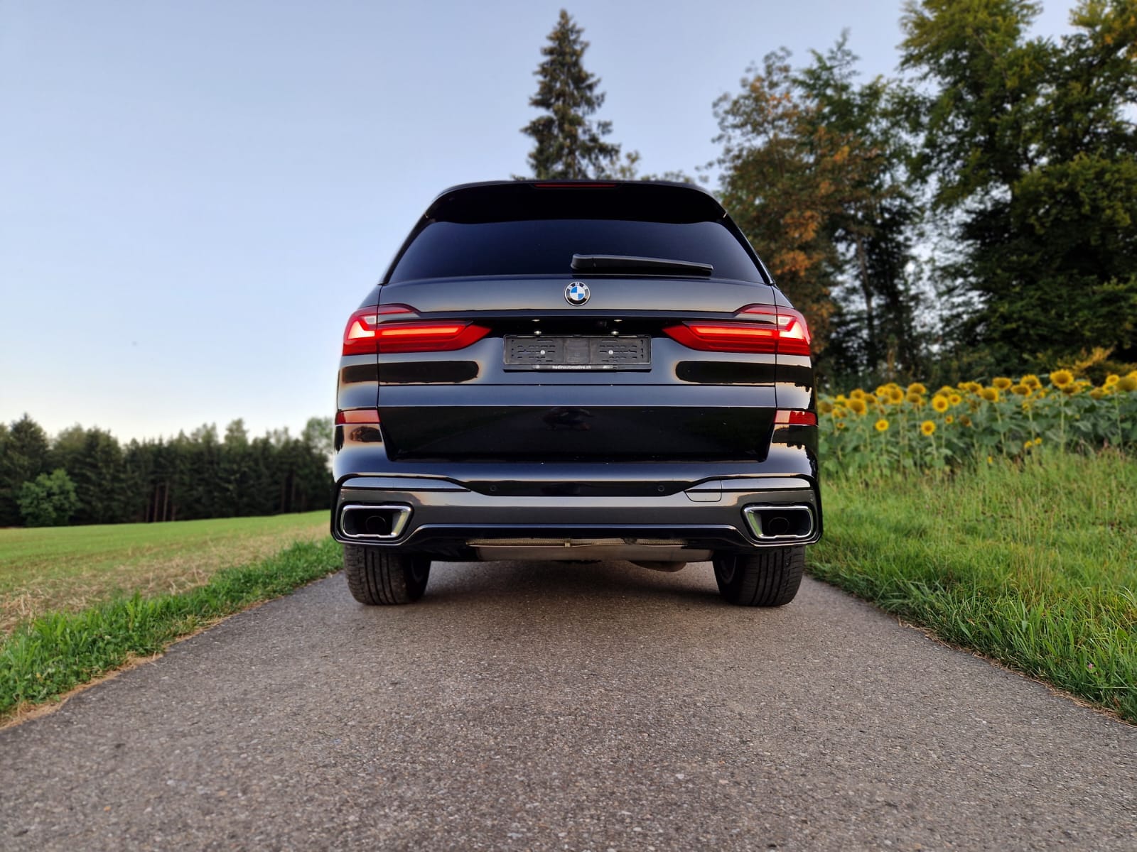 BMW X7 xDrive 30d Steptronic-image-3