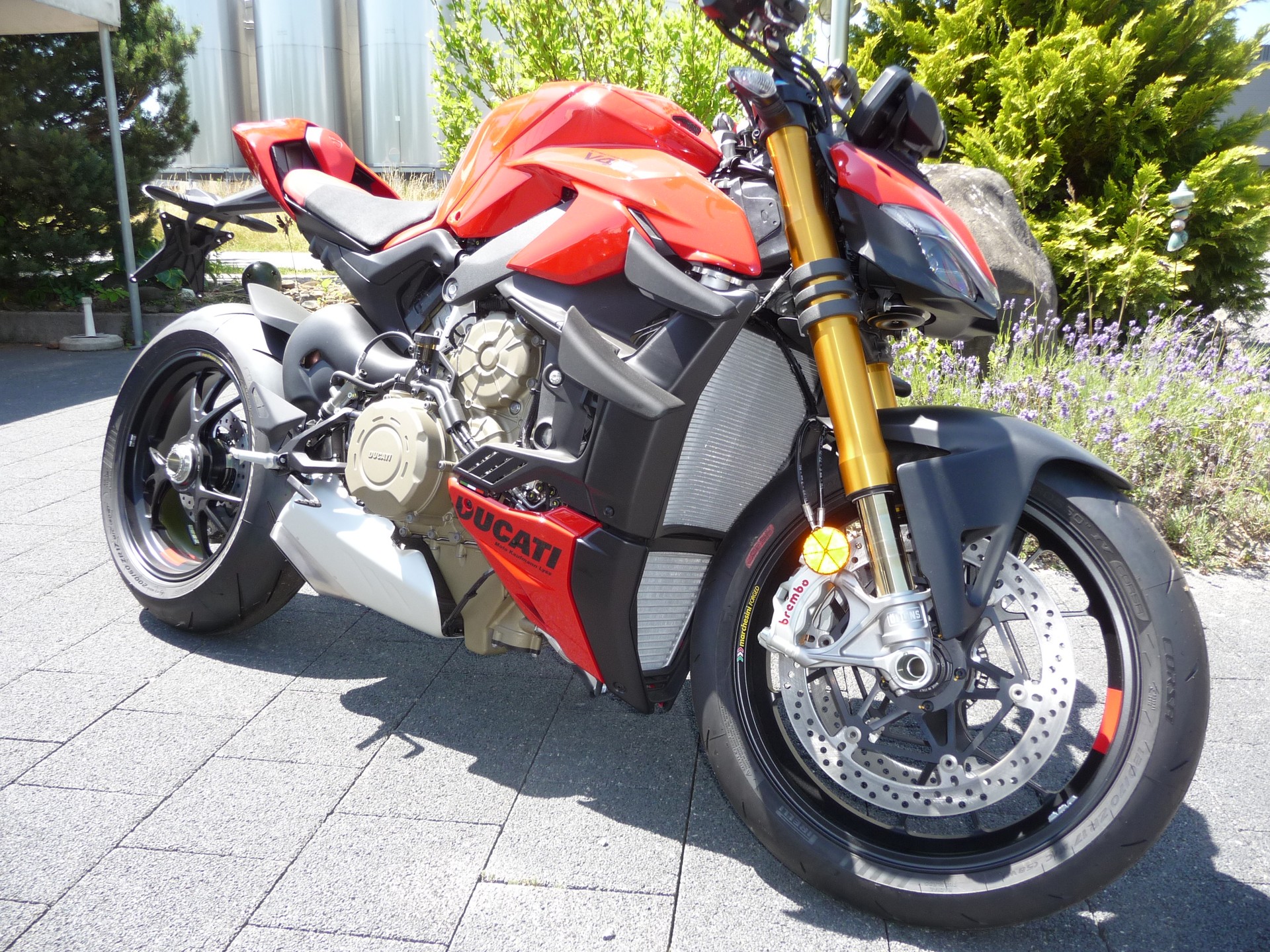 DUCATI Streetfighter V4 S-image-5