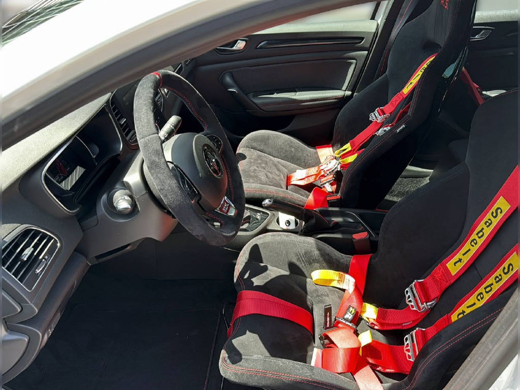 RENAULT Megane R.S. Trophy-R 300-image-9