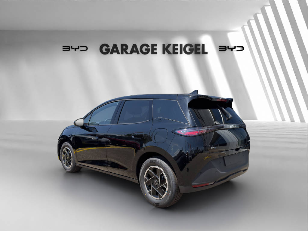 BYD Dolphin G DM-i Boost-image-2