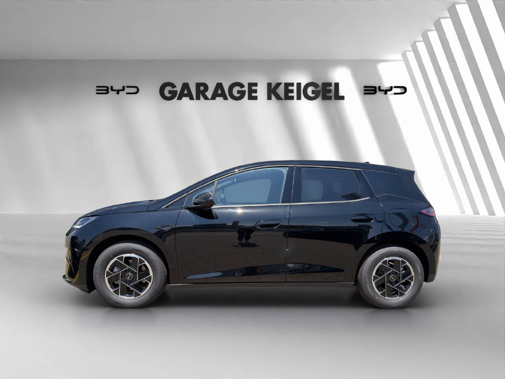 BYD Dolphin G DM-i Boost-image-1
