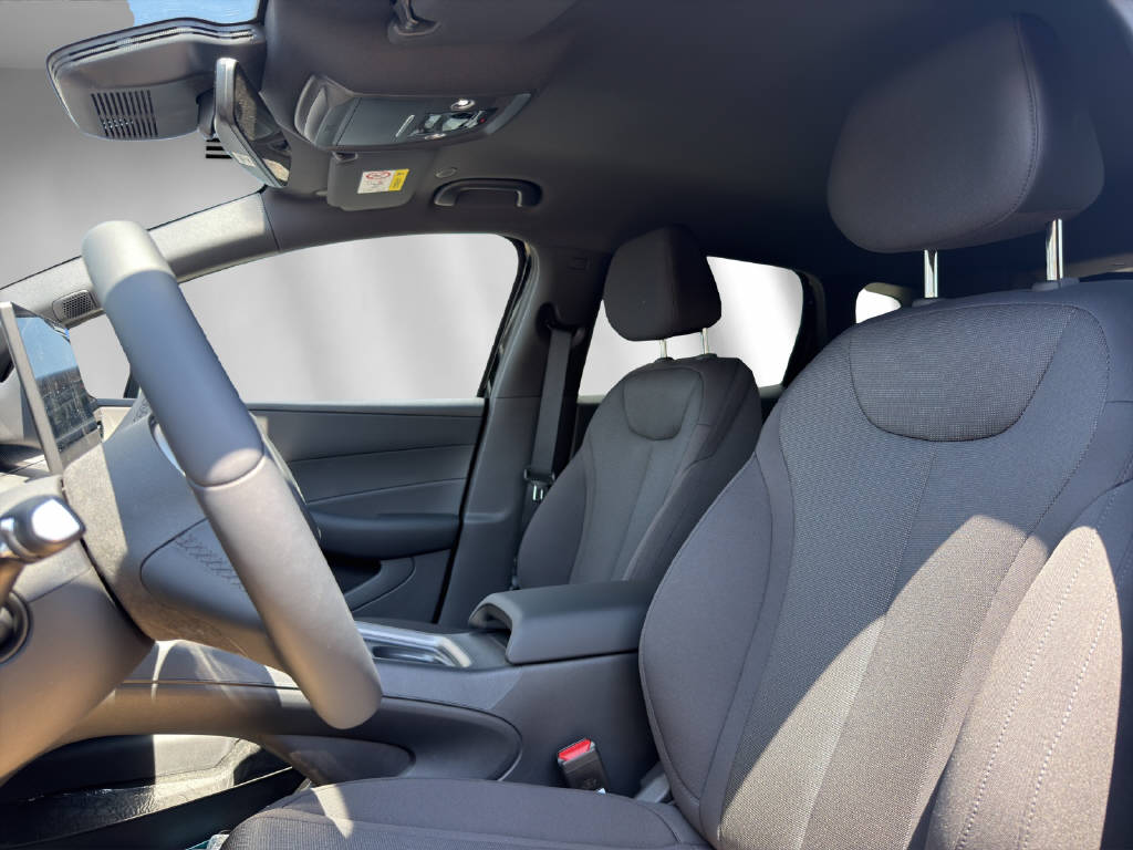 BYD Dolphin G DM-i Boost-image-3
