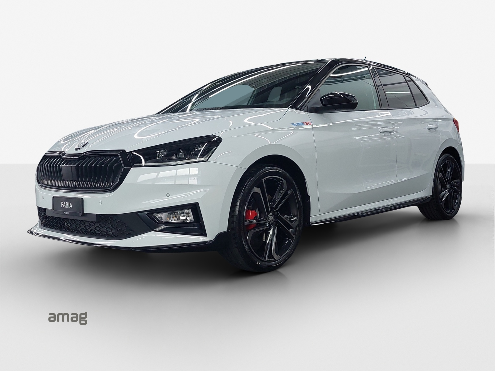 SKODA Fabia 1.5 TSI 130 DSG-image-0